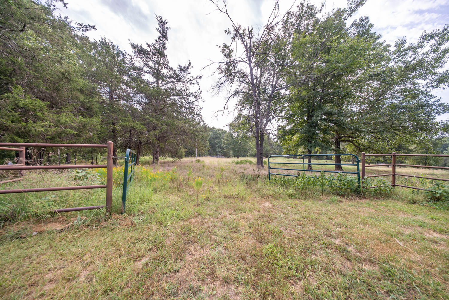Photo 62 - Residential for sale – 84  County Road 385   Koshkonong, MO