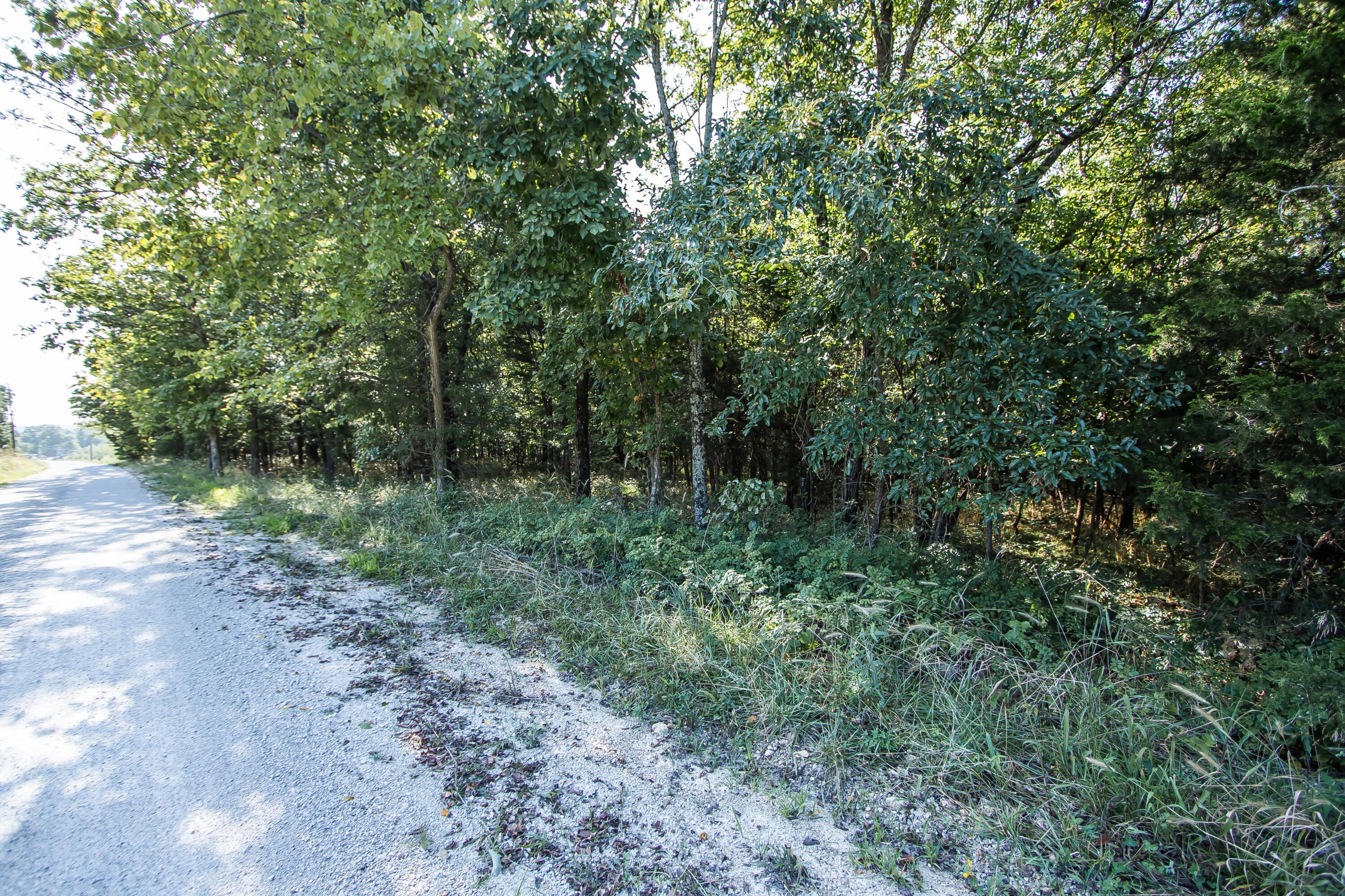 Photo 38 - Residential for sale – 75  Chadwick Road  Fair Grove, MO