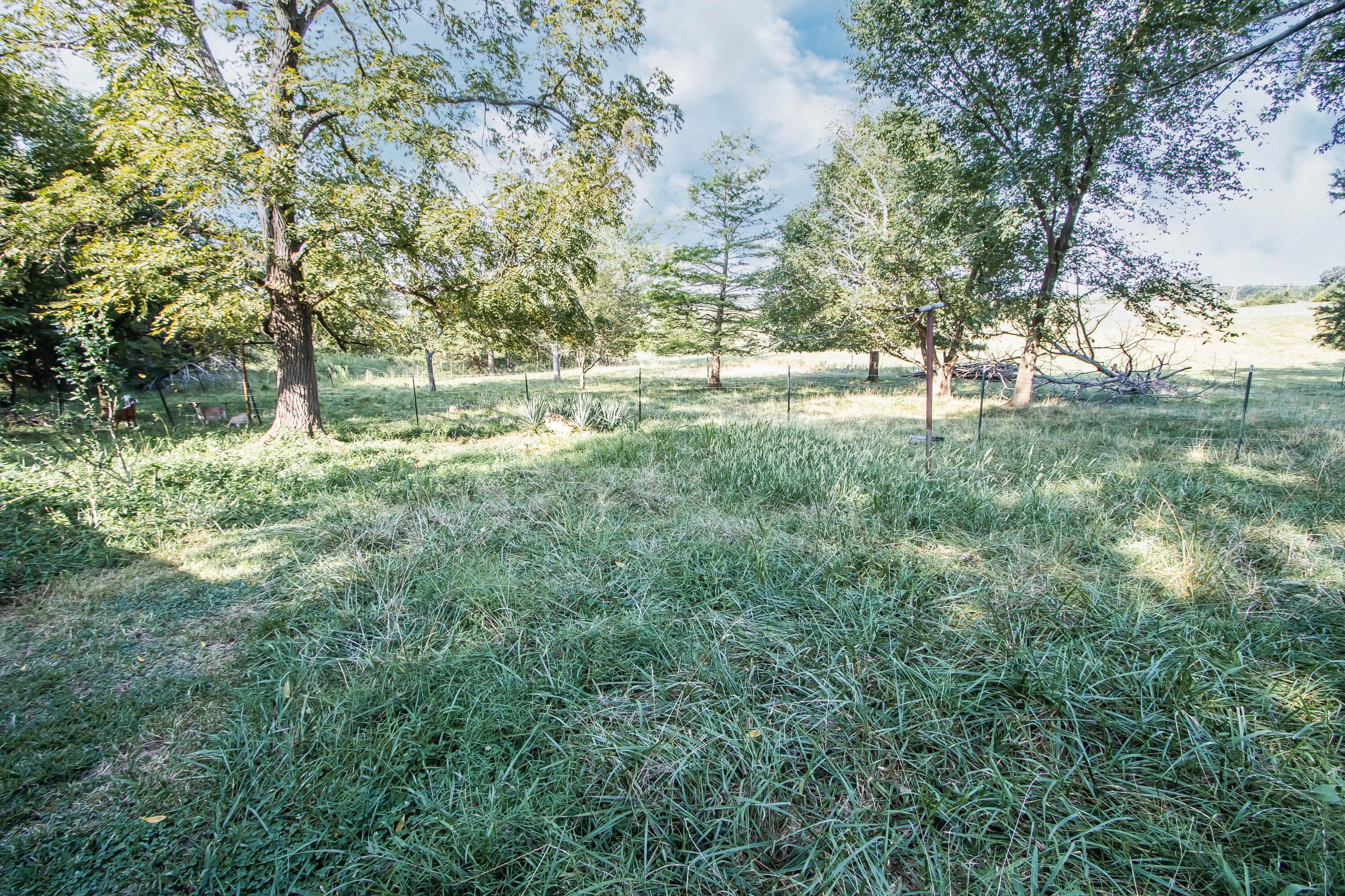 Photo 35 - Residential for sale – 75  Chadwick Road  Fair Grove, MO