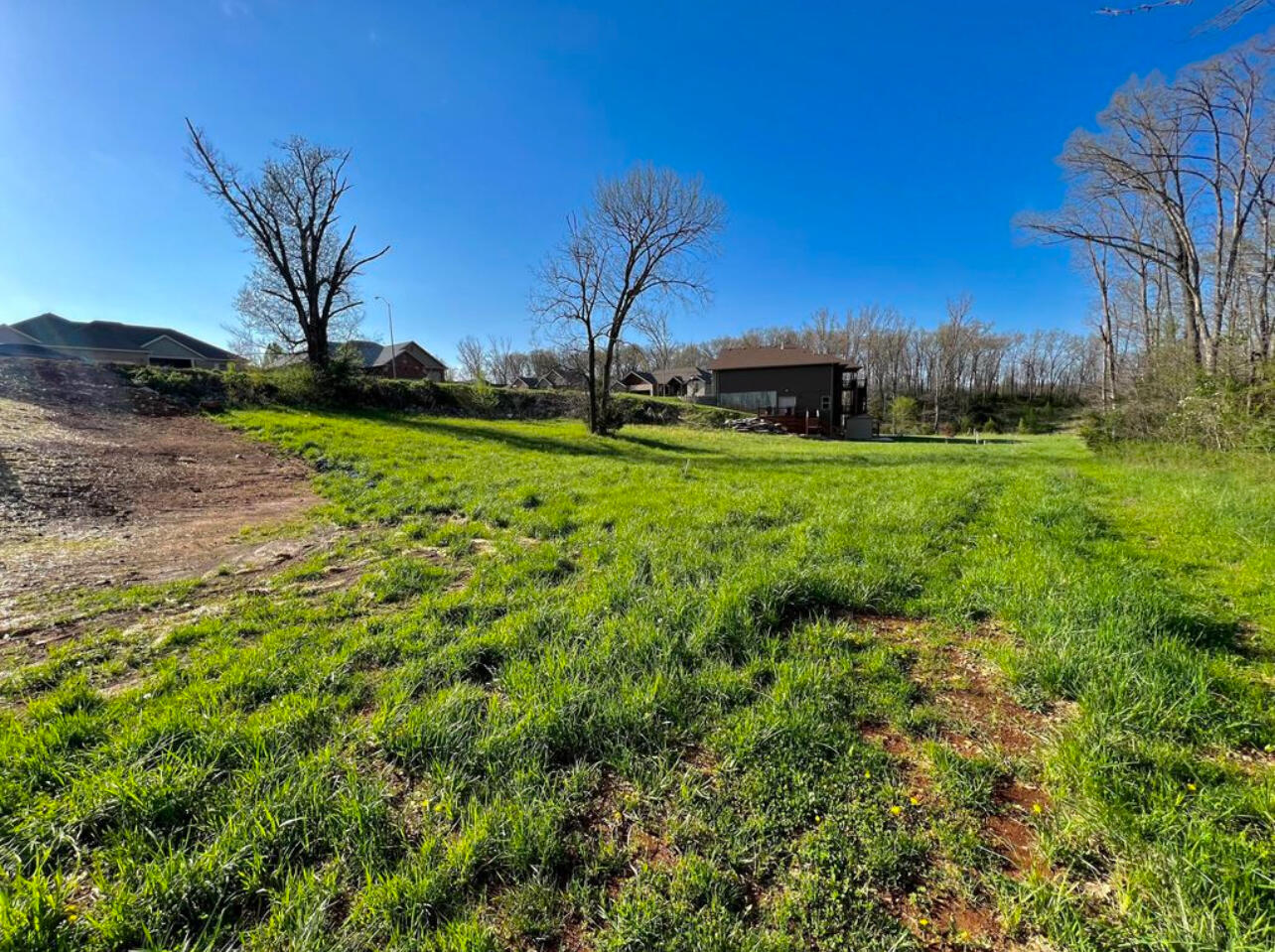 Photo 3 - Land for sale – 716 S Peach   Nixa, MO