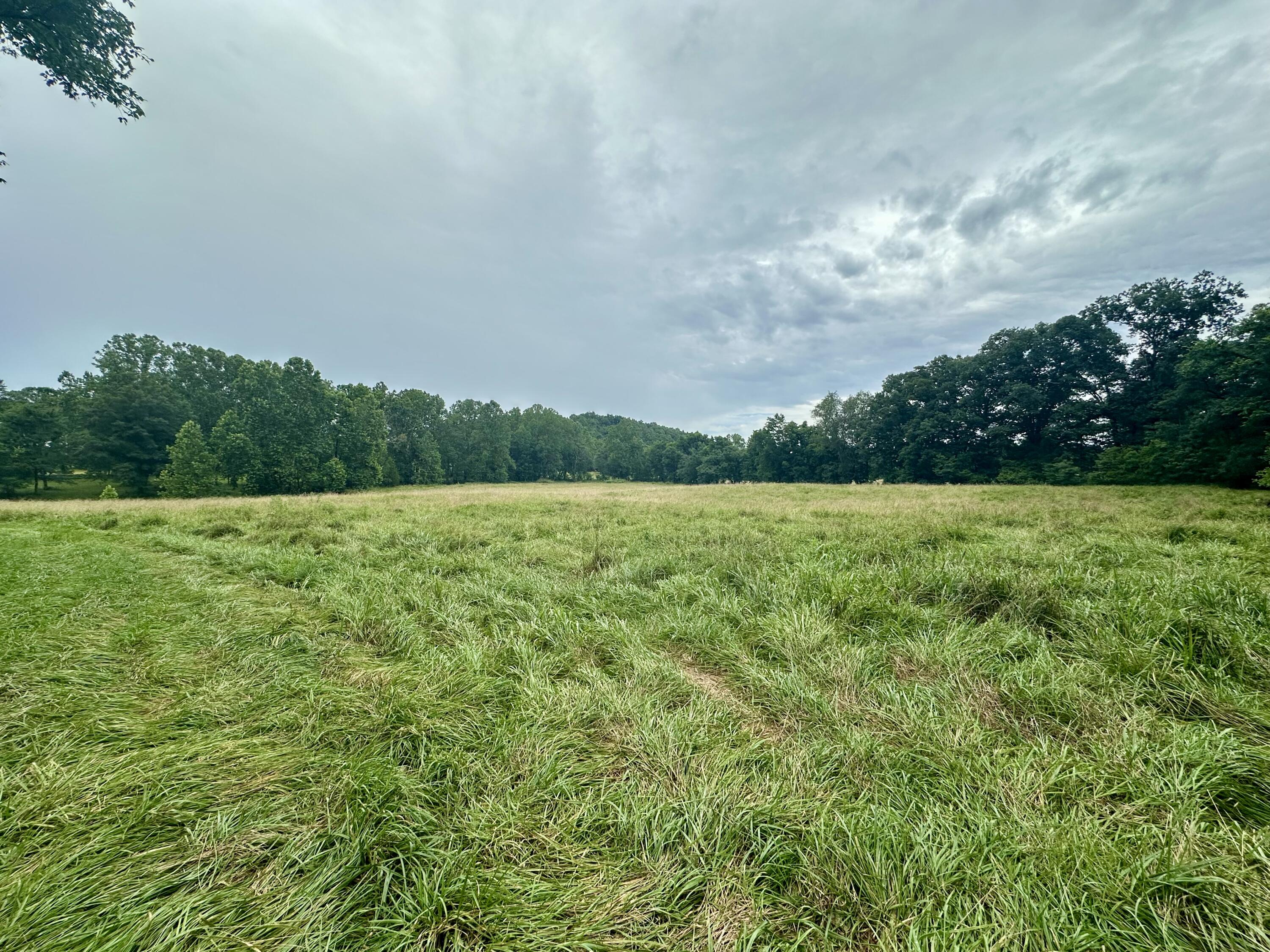 Photo 9 - Land for sale – 000  County Road 309   Van Buren, MO