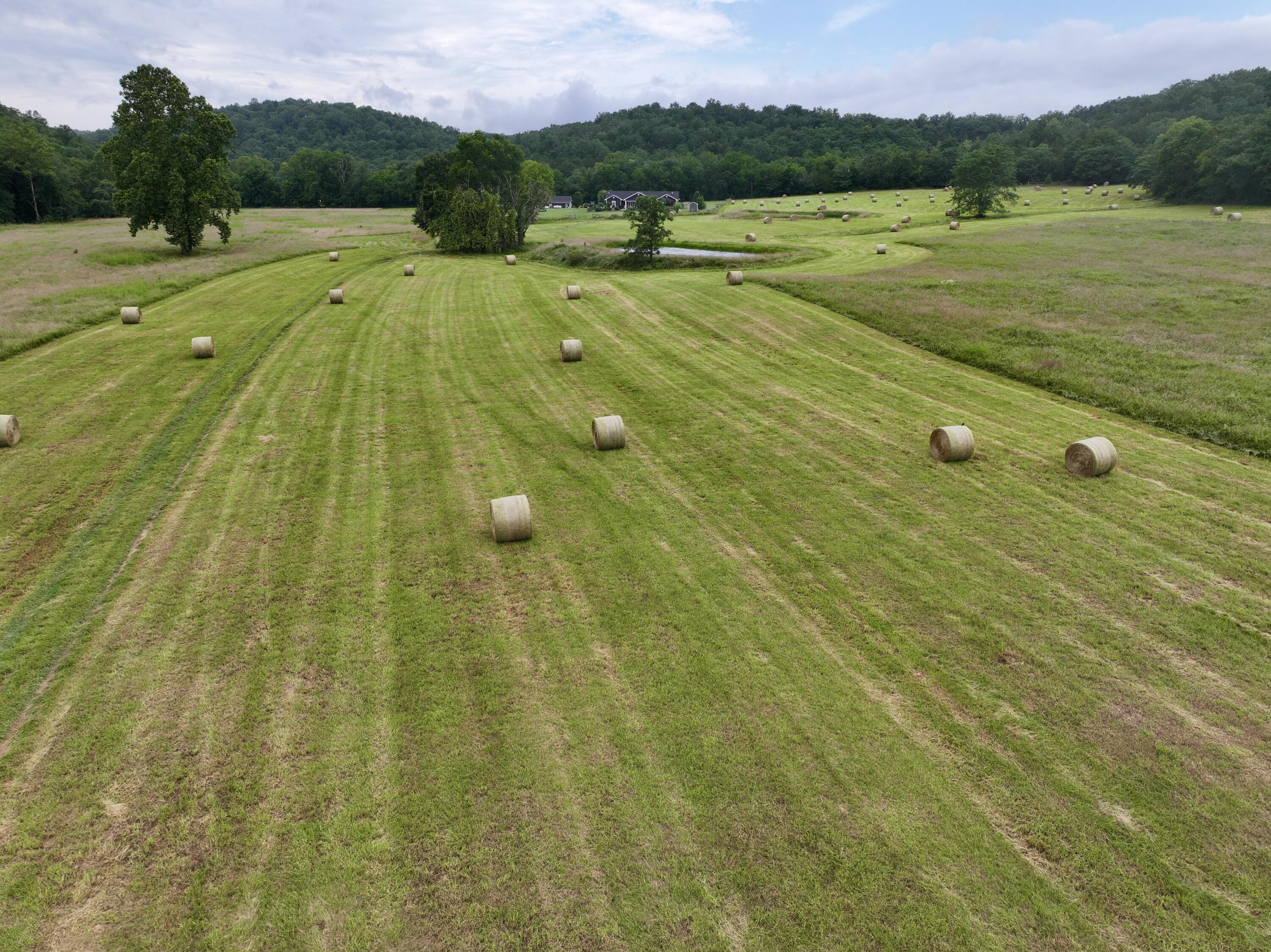 Photo 12 - Land for sale – 000  County Road 309   Van Buren, MO