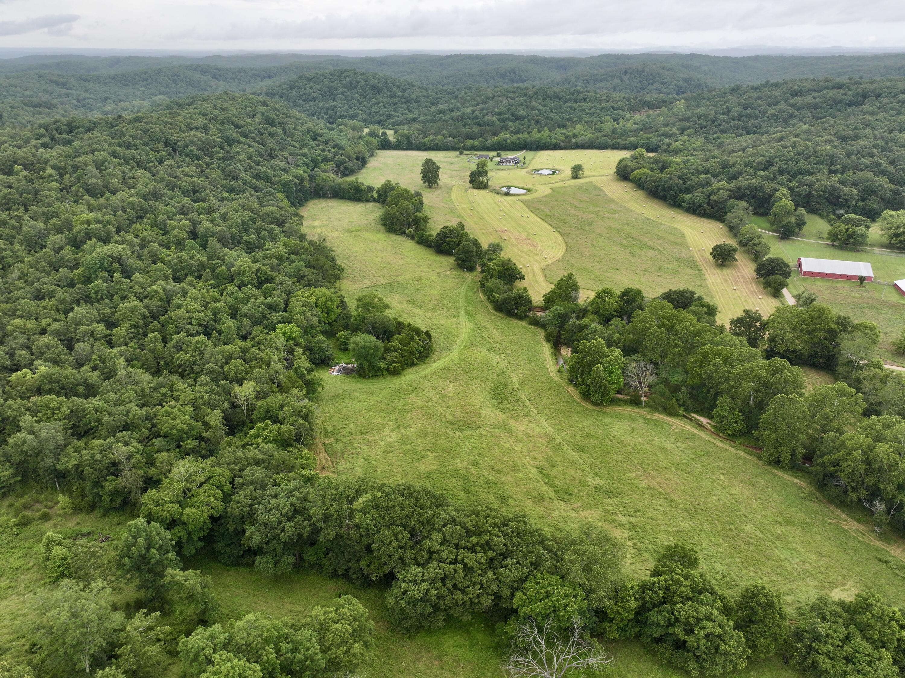 Photo 19 - Land for sale – 000  County Road 309   Van Buren, MO