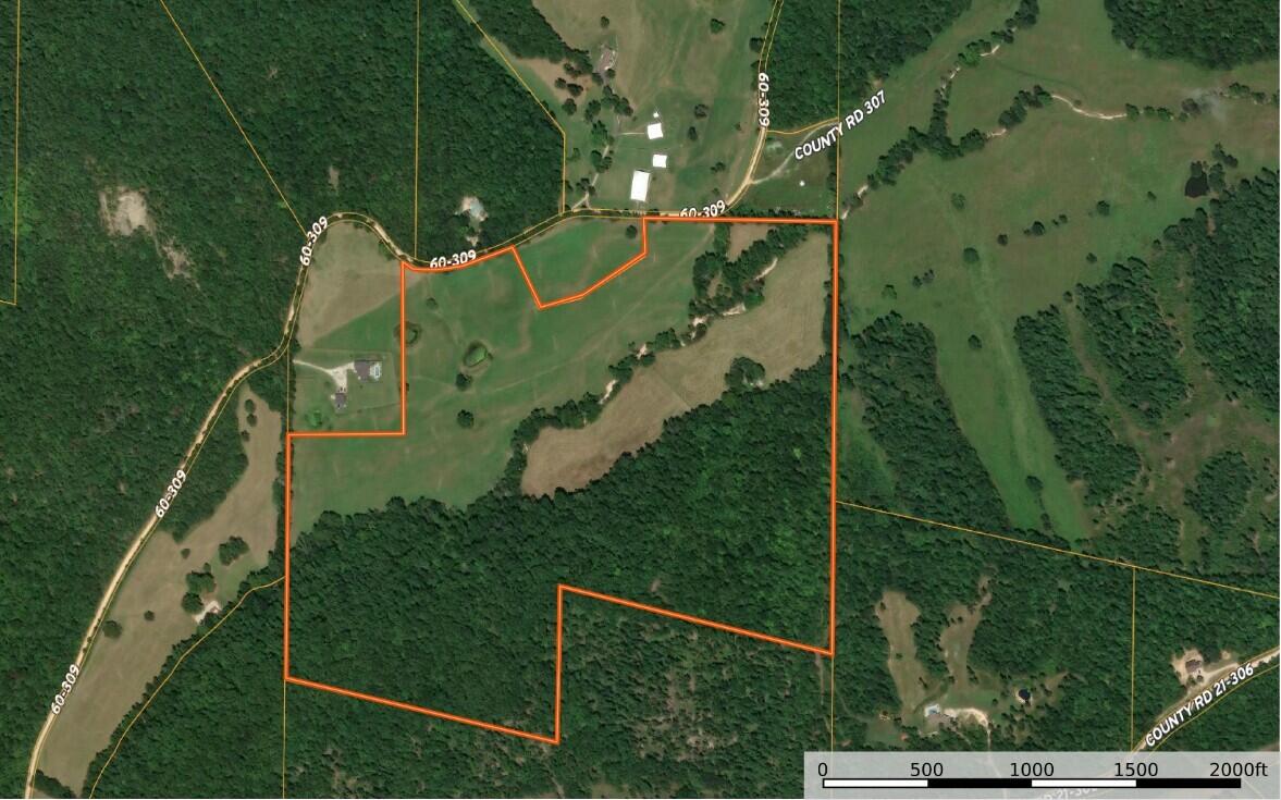 Photo 5 - Land for sale – 000  County Road 309   Van Buren, MO