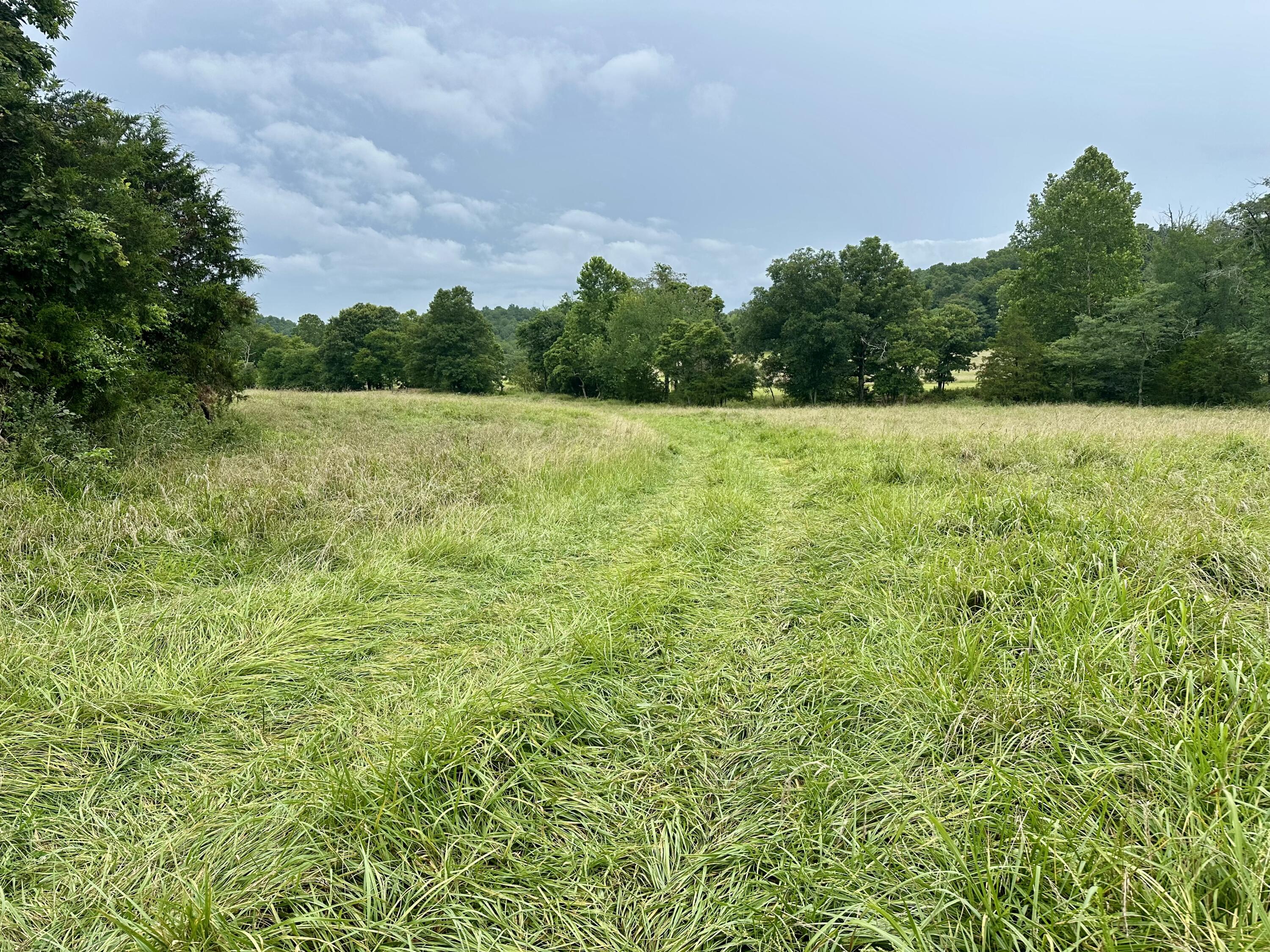 Photo 10 - Land for sale – 000  County Road 309   Van Buren, MO