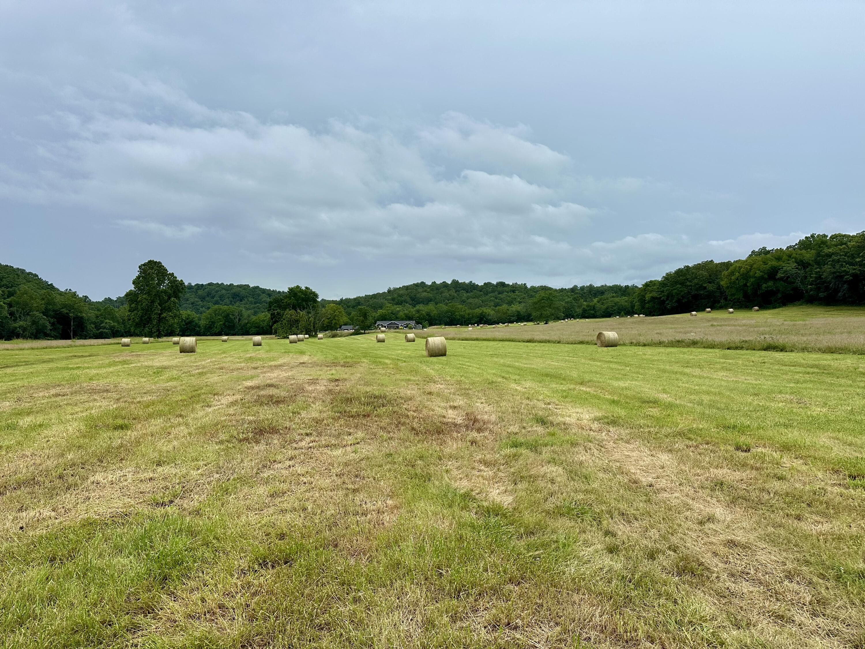Photo 14 - Land for sale – 000  County Road 309   Van Buren, MO