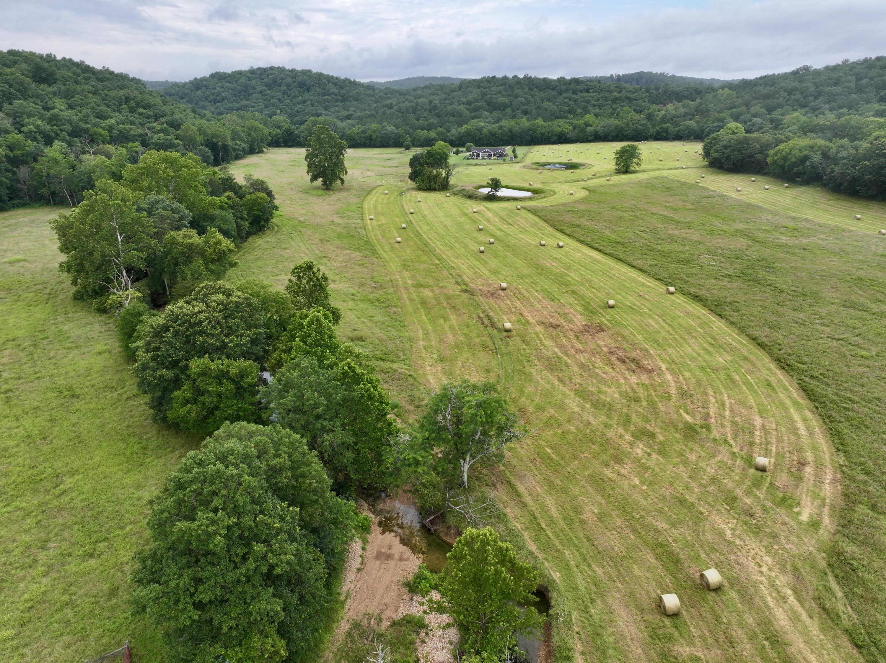 Photo 20 - Land for sale – 000  County Road 309   Van Buren, MO
