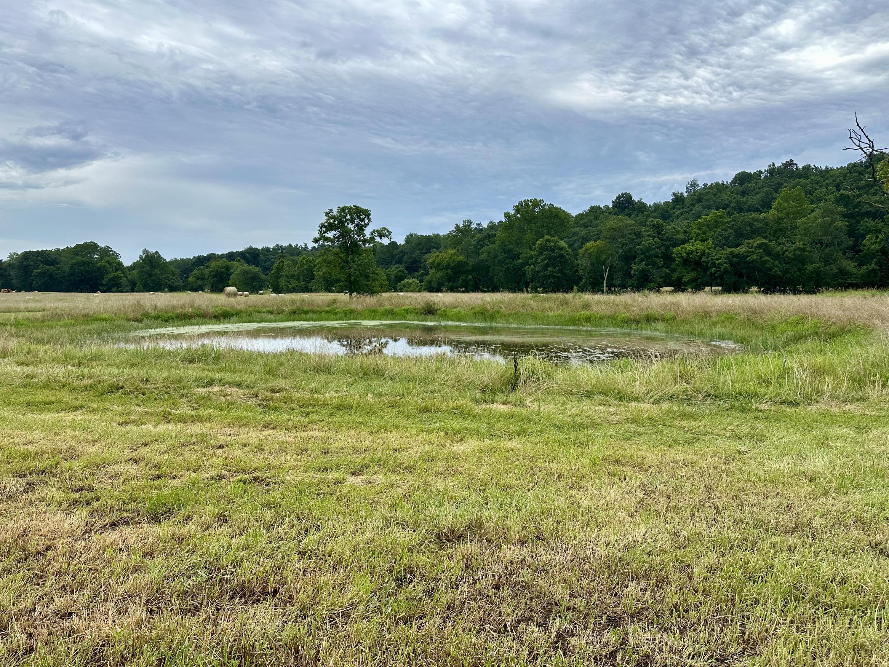 Photo 15 - Land for sale – 000  County Road 309   Van Buren, MO