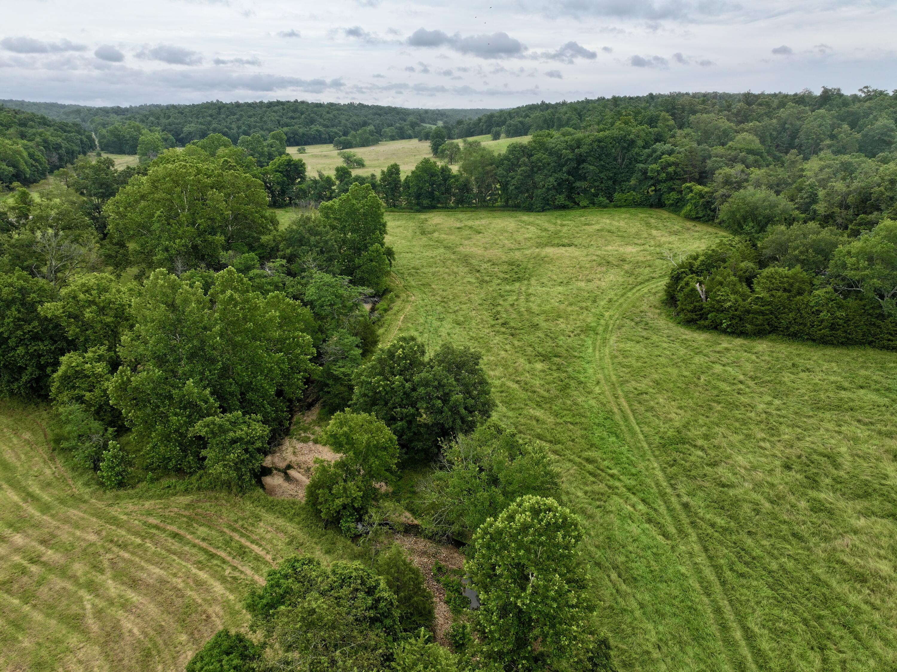 Photo 2 - Land for sale – 000  County Road 309   Van Buren, MO