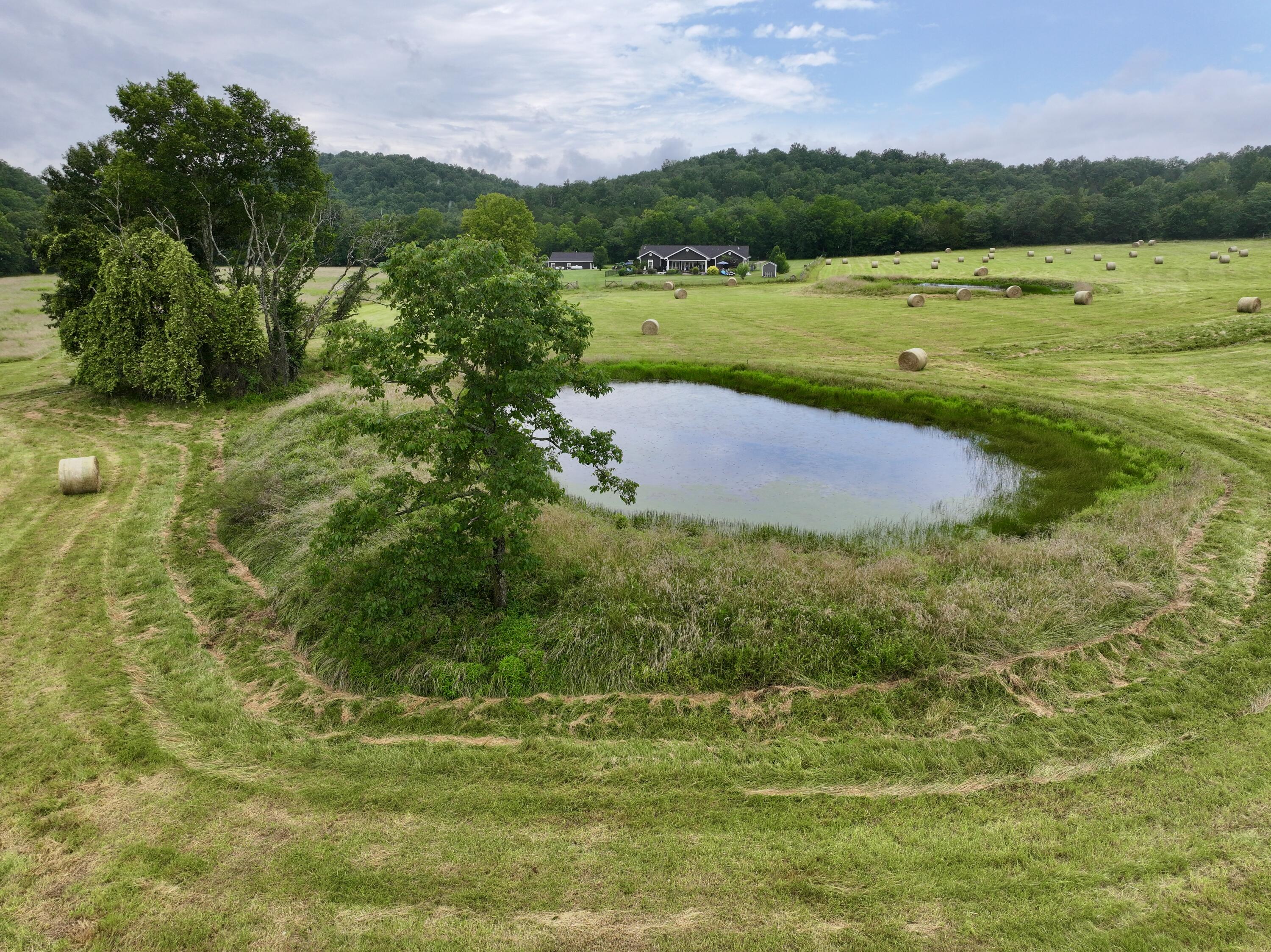 Photo 6 - Land for sale – 000  County Road 309   Van Buren, MO