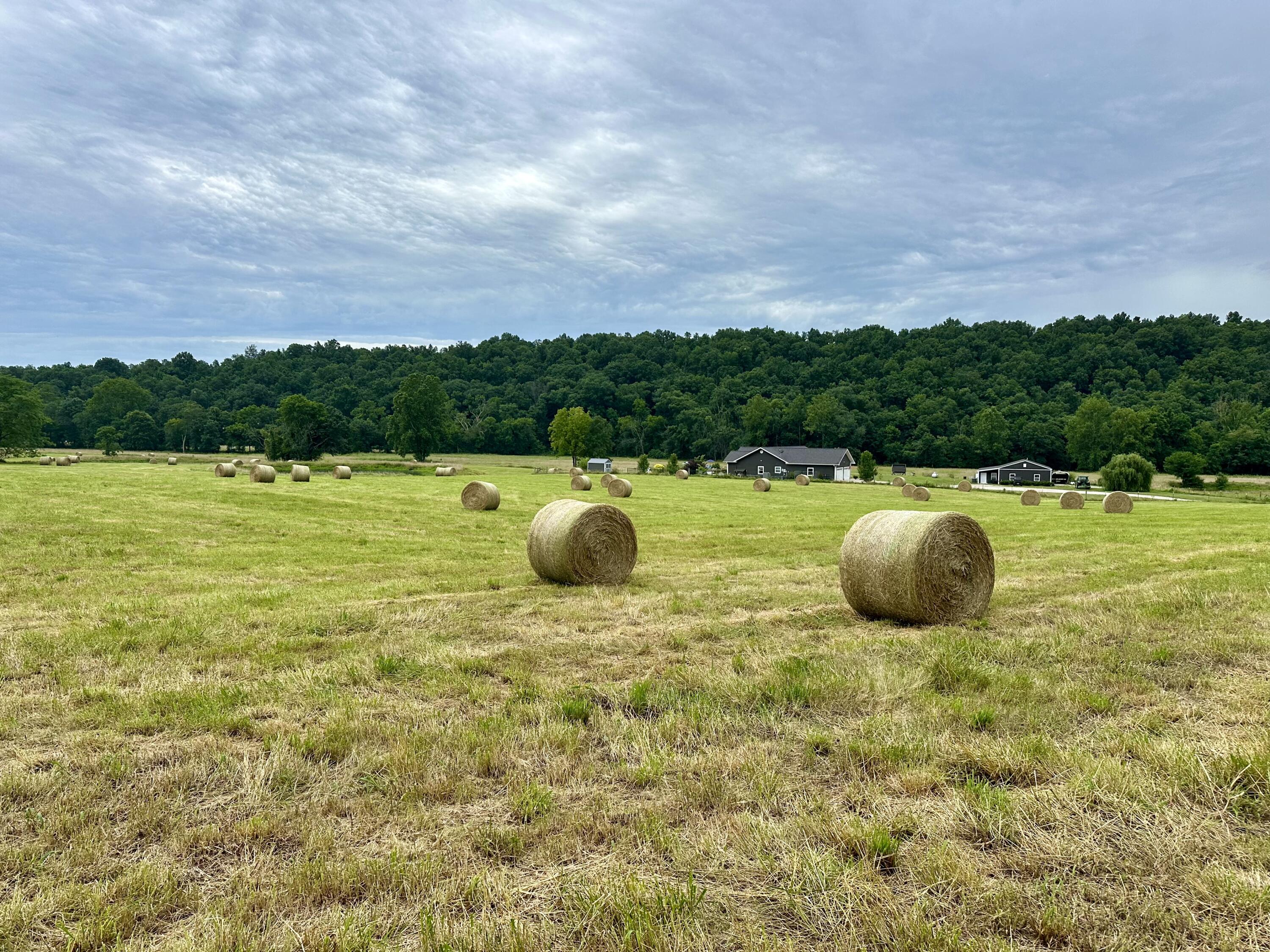 Photo 16 - Land for sale – 000  County Road 309   Van Buren, MO