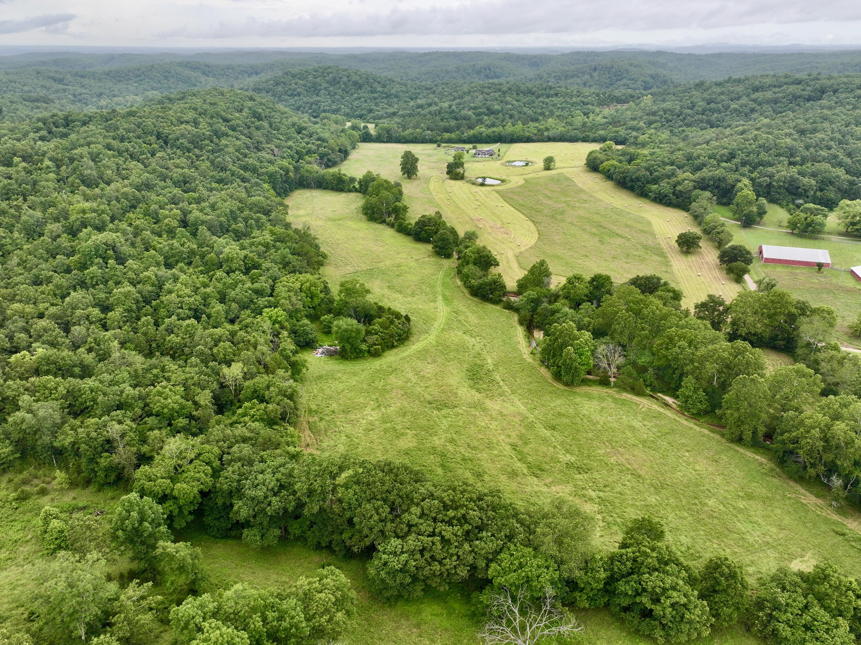 Photo 4 - Land for sale – 000  County Road 309   Van Buren, MO
