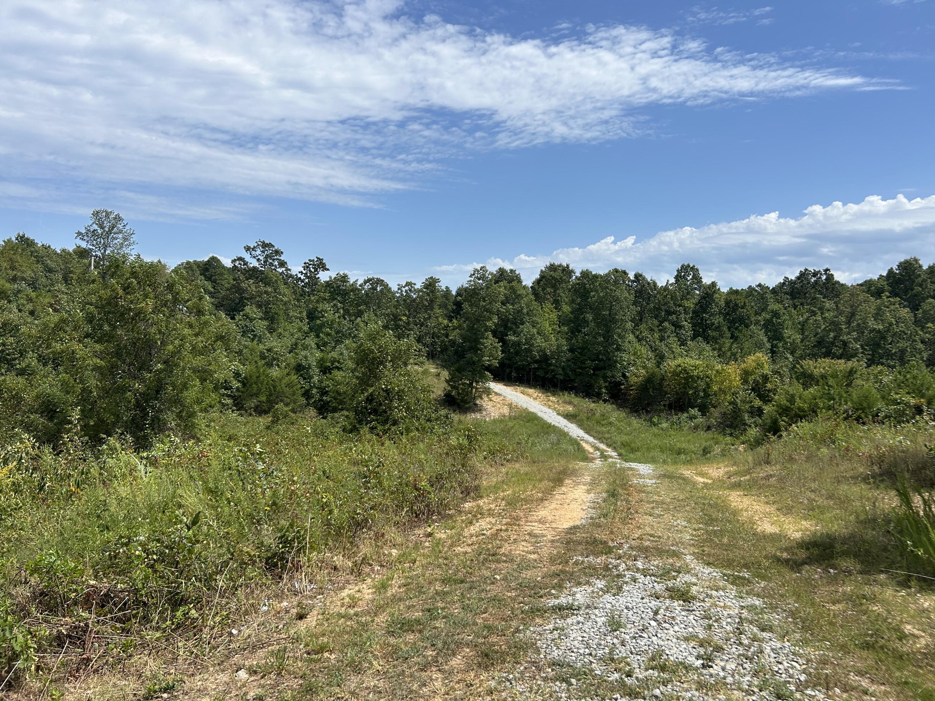 Photo 5 - Land for sale – 10720  Sackett Road  Licking, MO