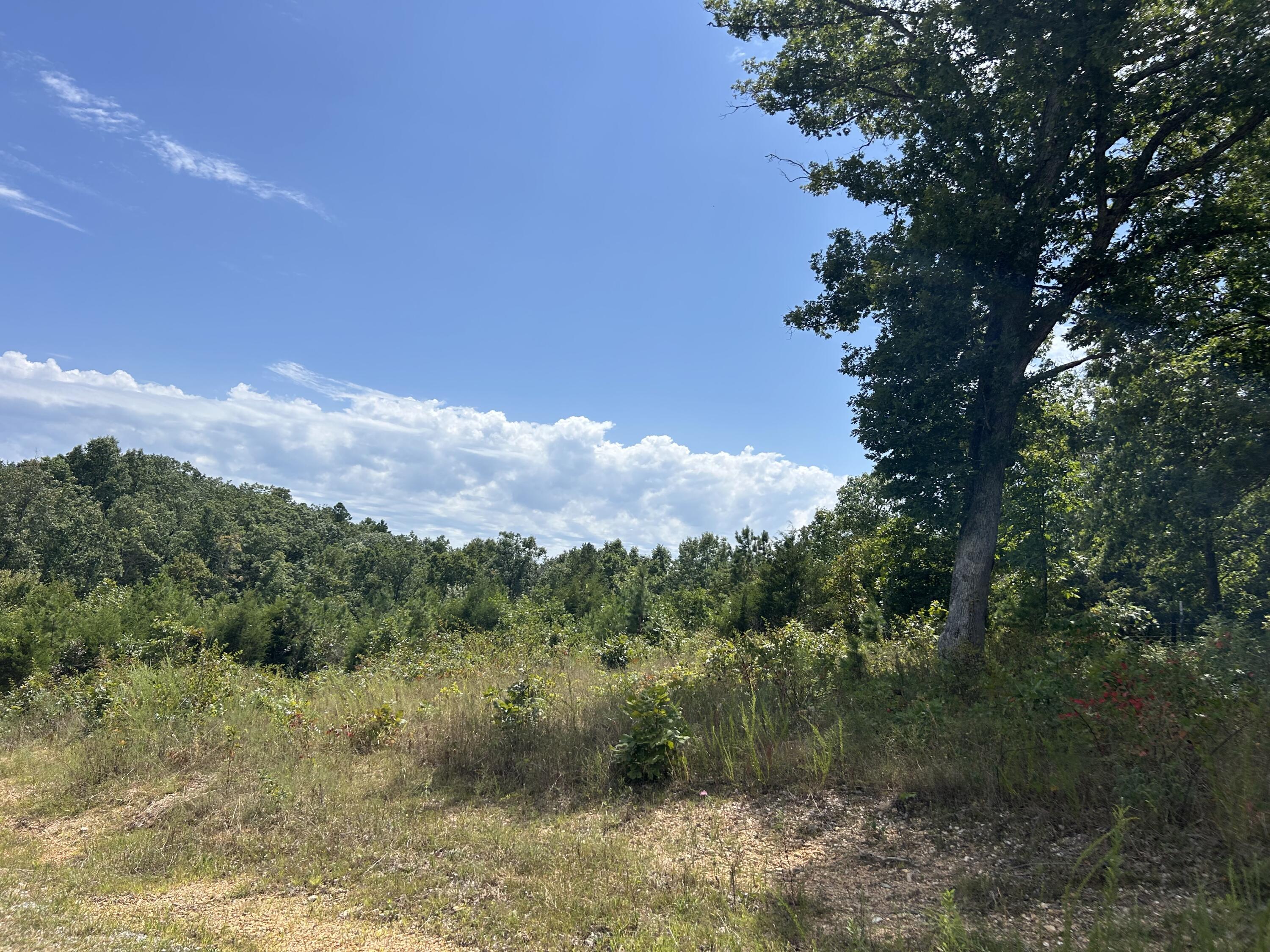 Photo 8 - Land for sale – 10720  Sackett Road  Licking, MO