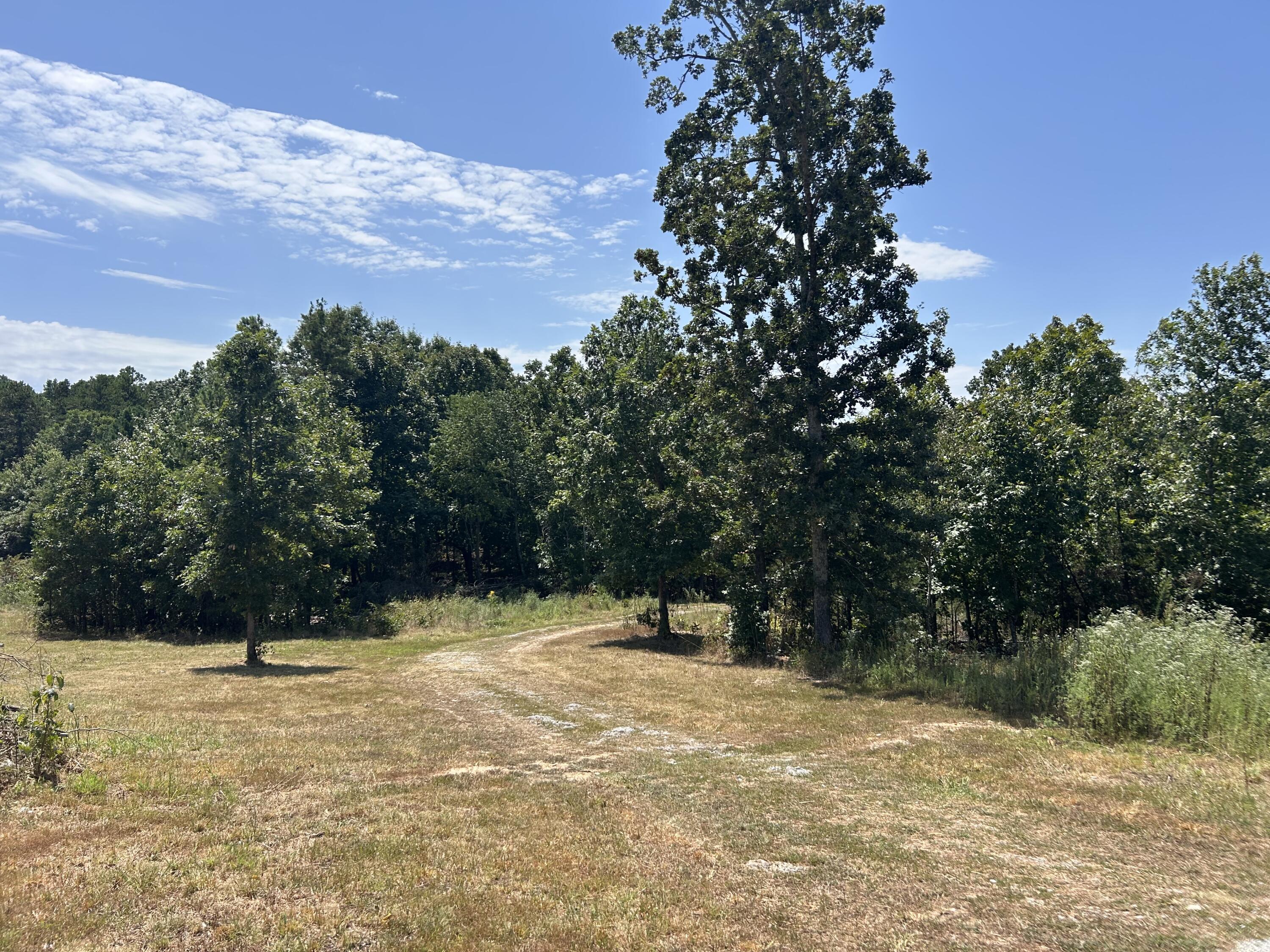 Photo 7 - Land for sale – 10720  Sackett Road  Licking, MO