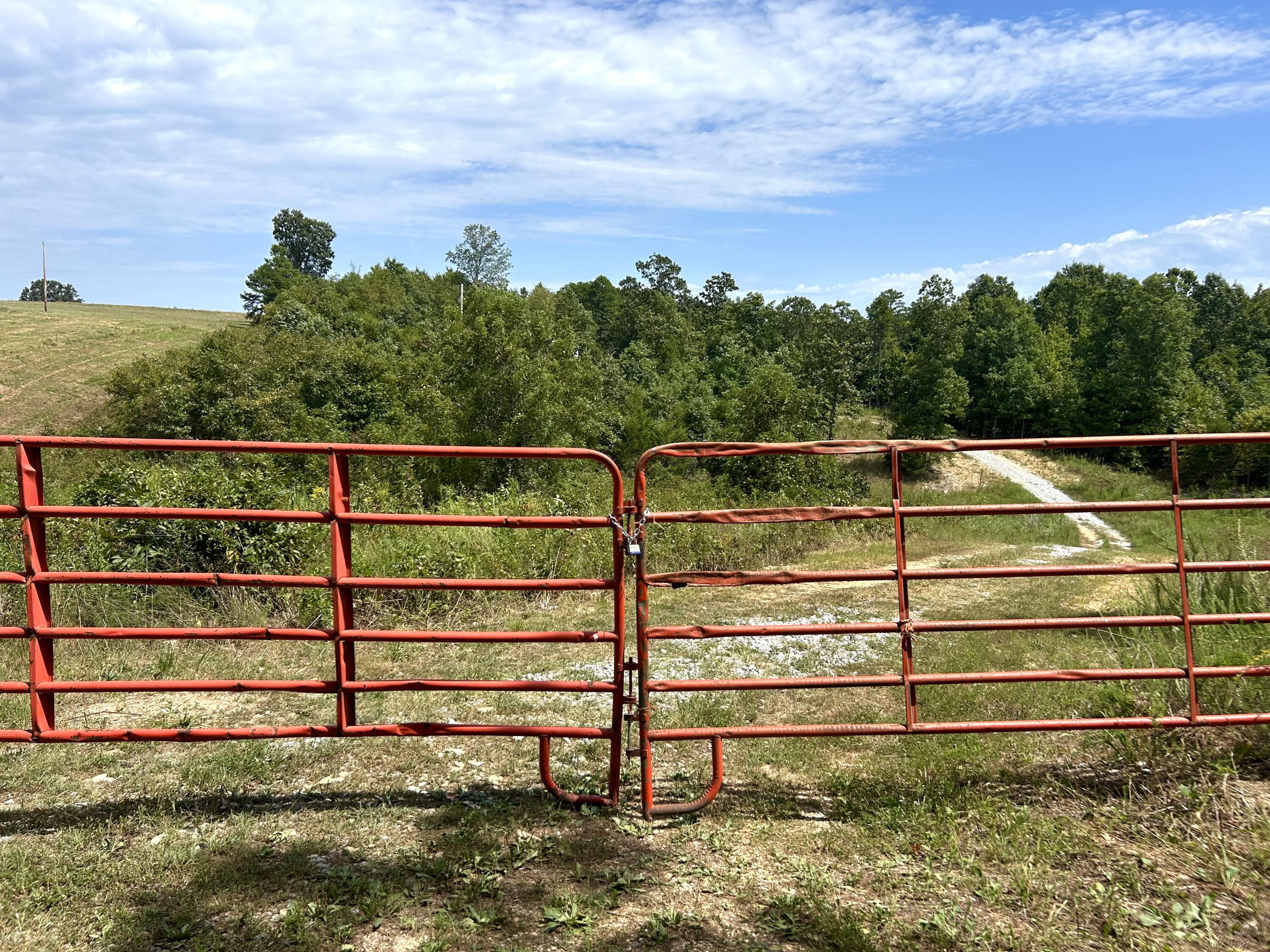 Photo 4 - Land for sale – 10720  Sackett Road  Licking, MO