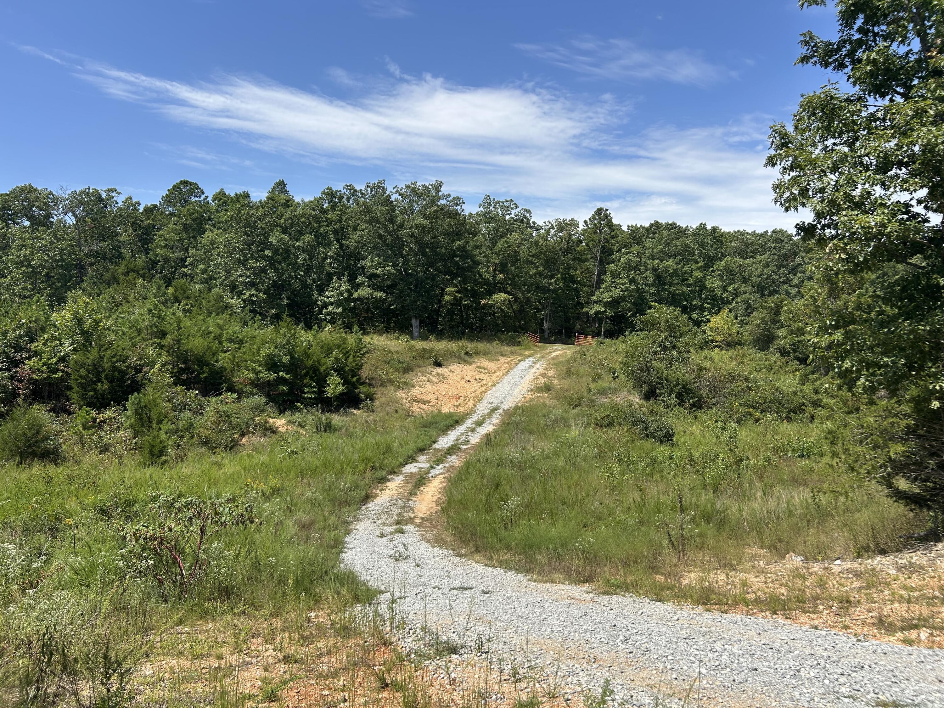 Photo 6 - Land for sale – 10720  Sackett Road  Licking, MO
