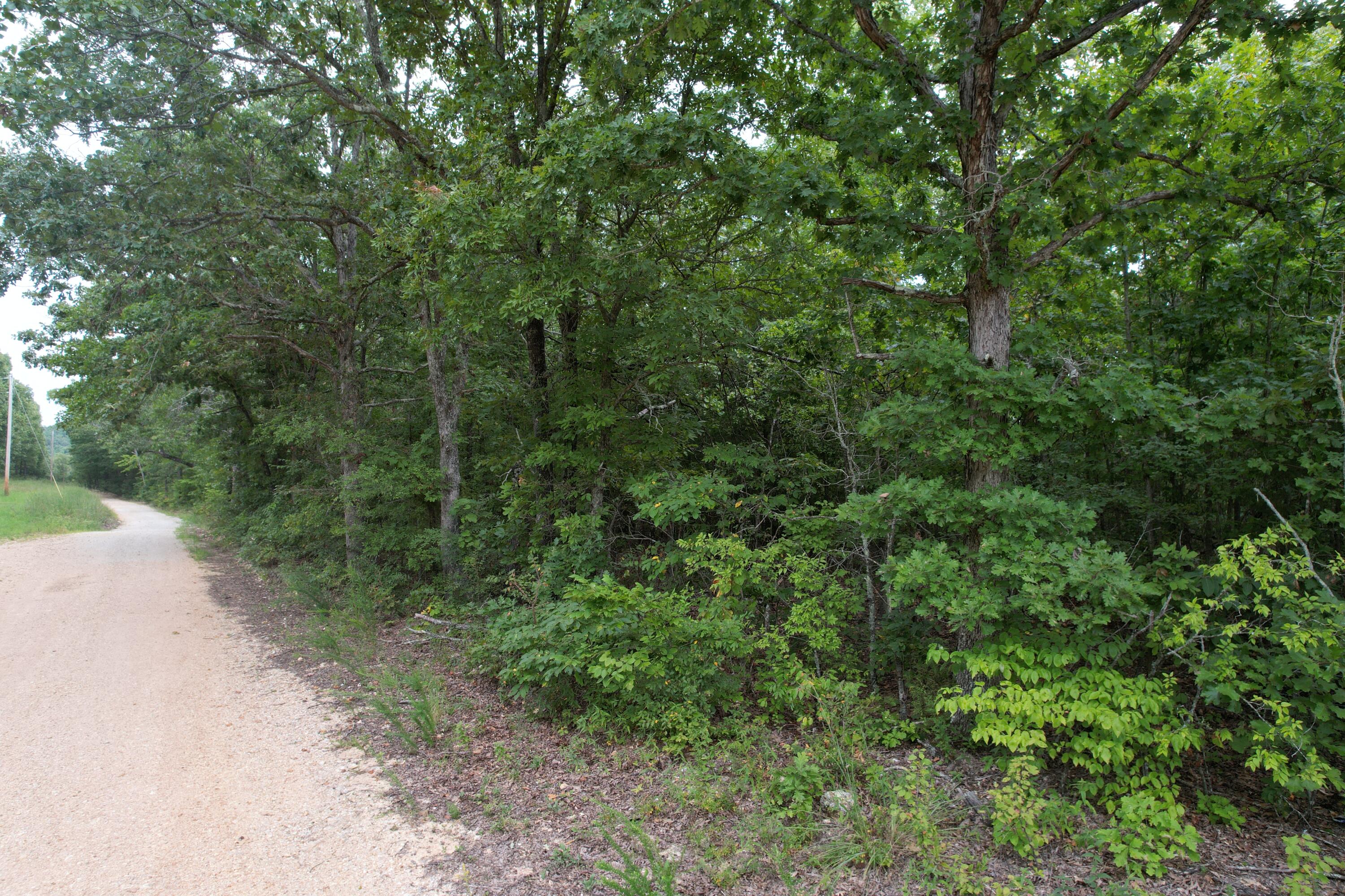 Photo 16 - Land for sale – 000  County Road 76-126   Ava, MO