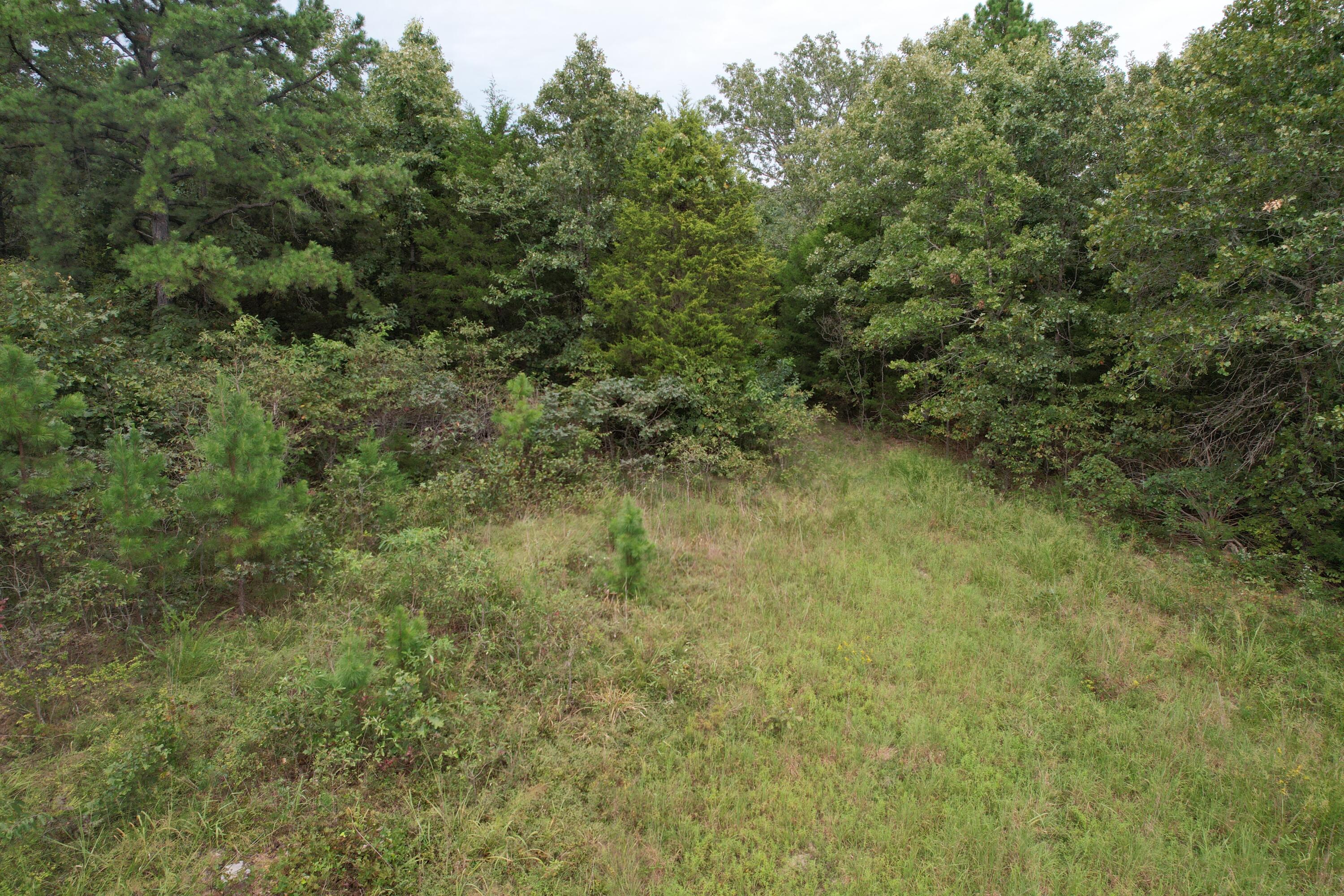 Photo 22 - Land for sale – 000  County Road 76-126   Ava, MO