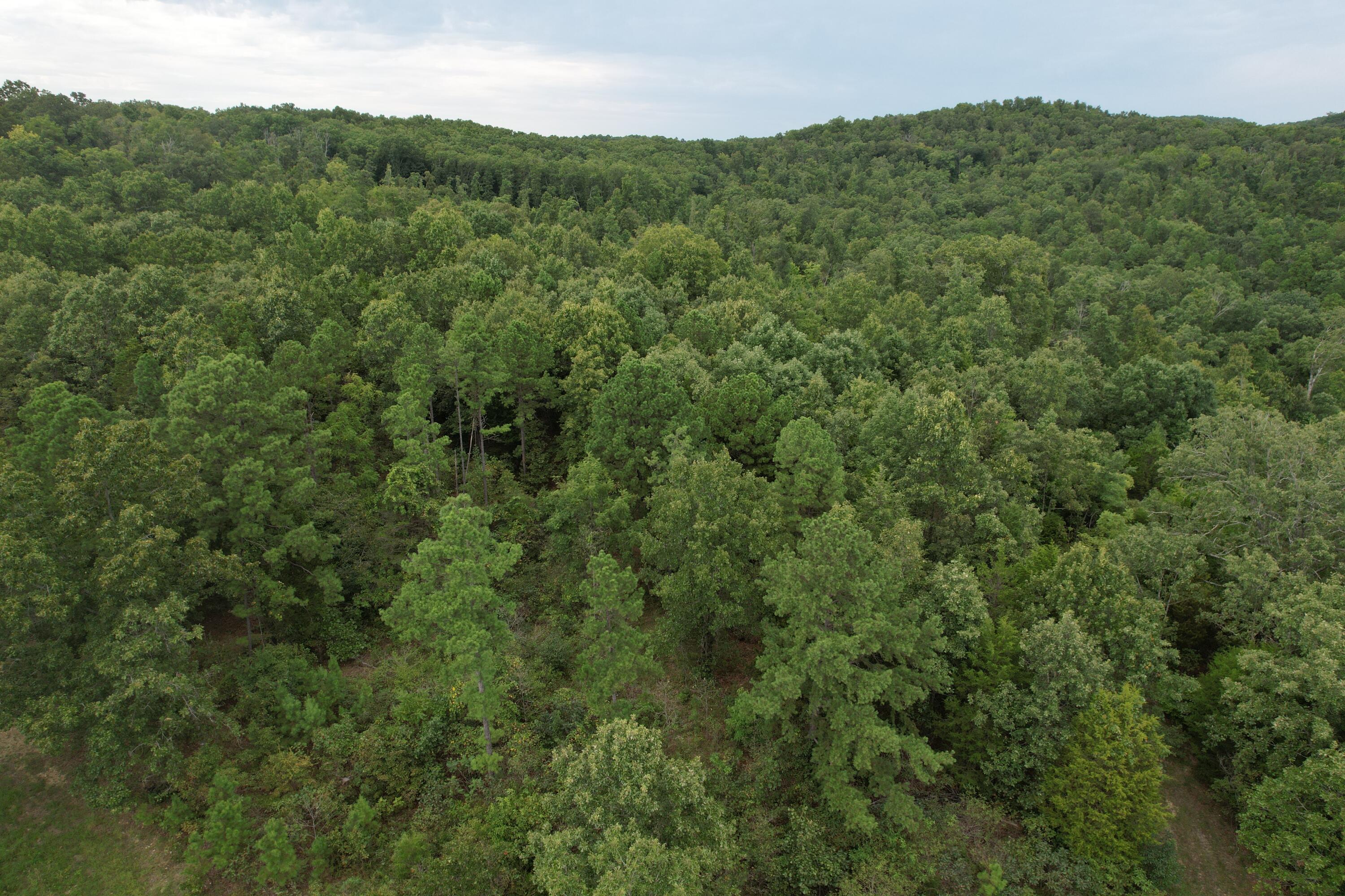 Photo 19 - Land for sale – 000  County Road 76-126   Ava, MO
