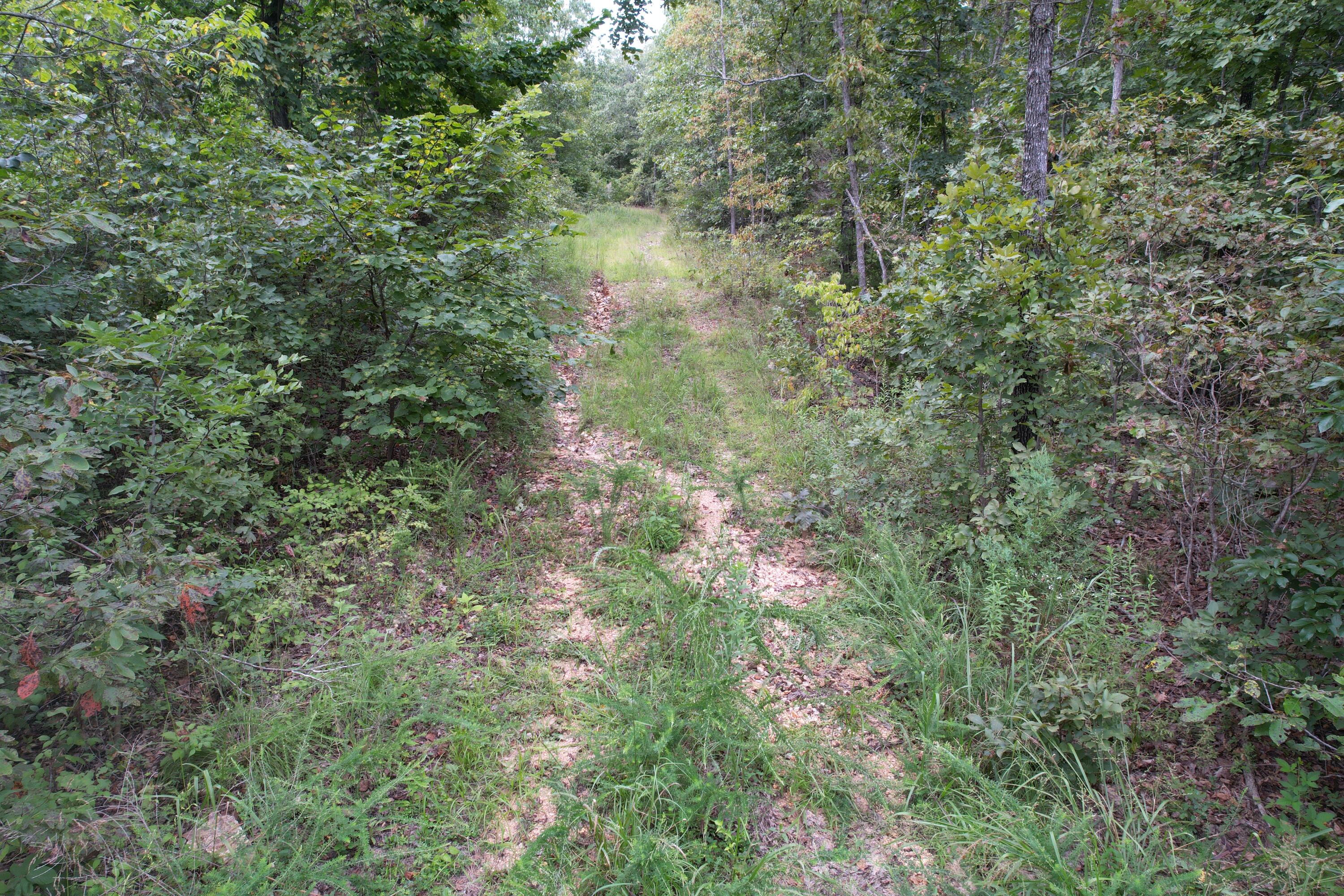 Photo 25 - Land for sale – 000  County Road 76-126   Ava, MO