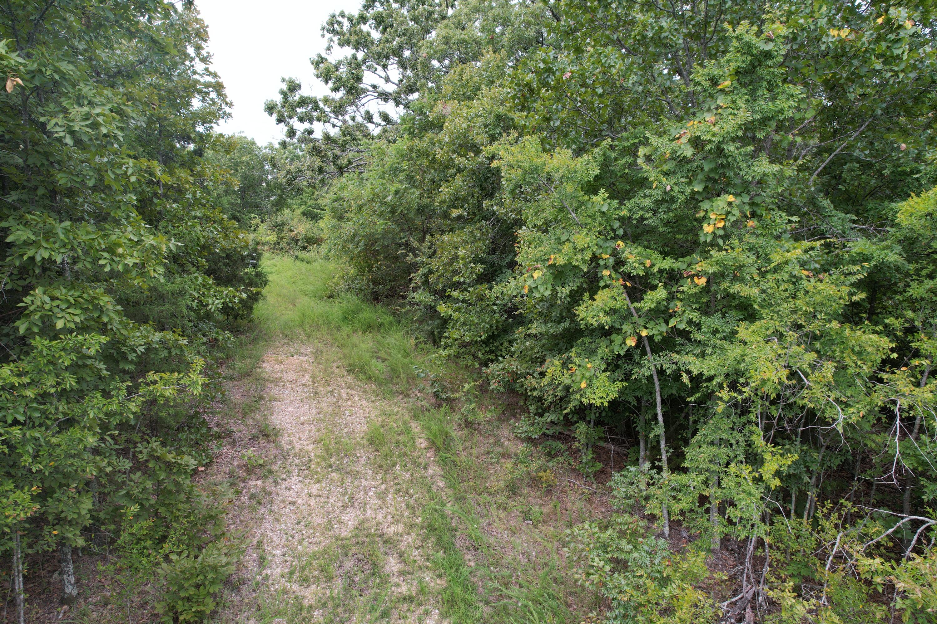 Photo 13 - Land for sale – 000  County Road 76-126   Ava, MO