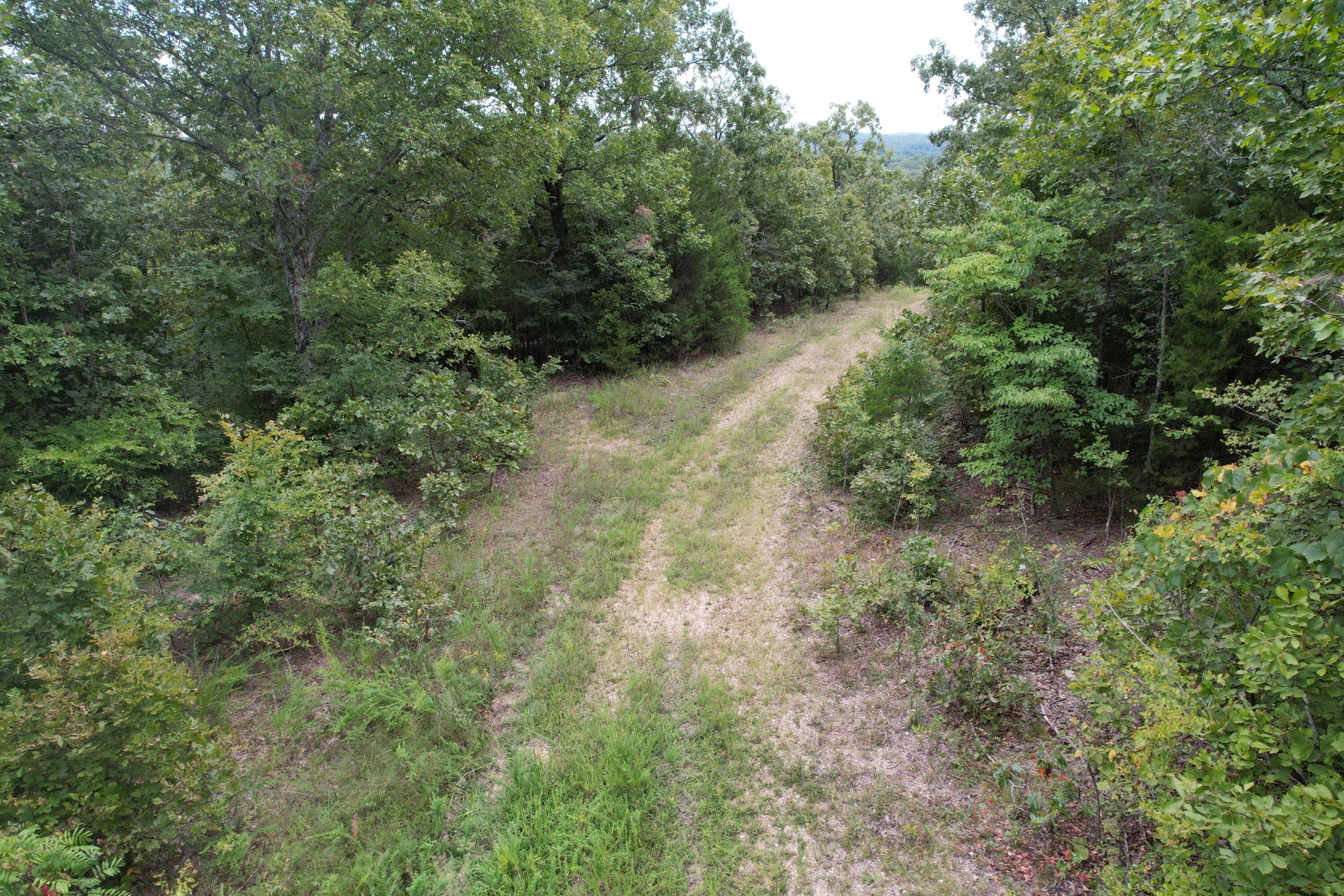 Photo 12 - Land for sale – 000  County Road 76-126   Ava, MO