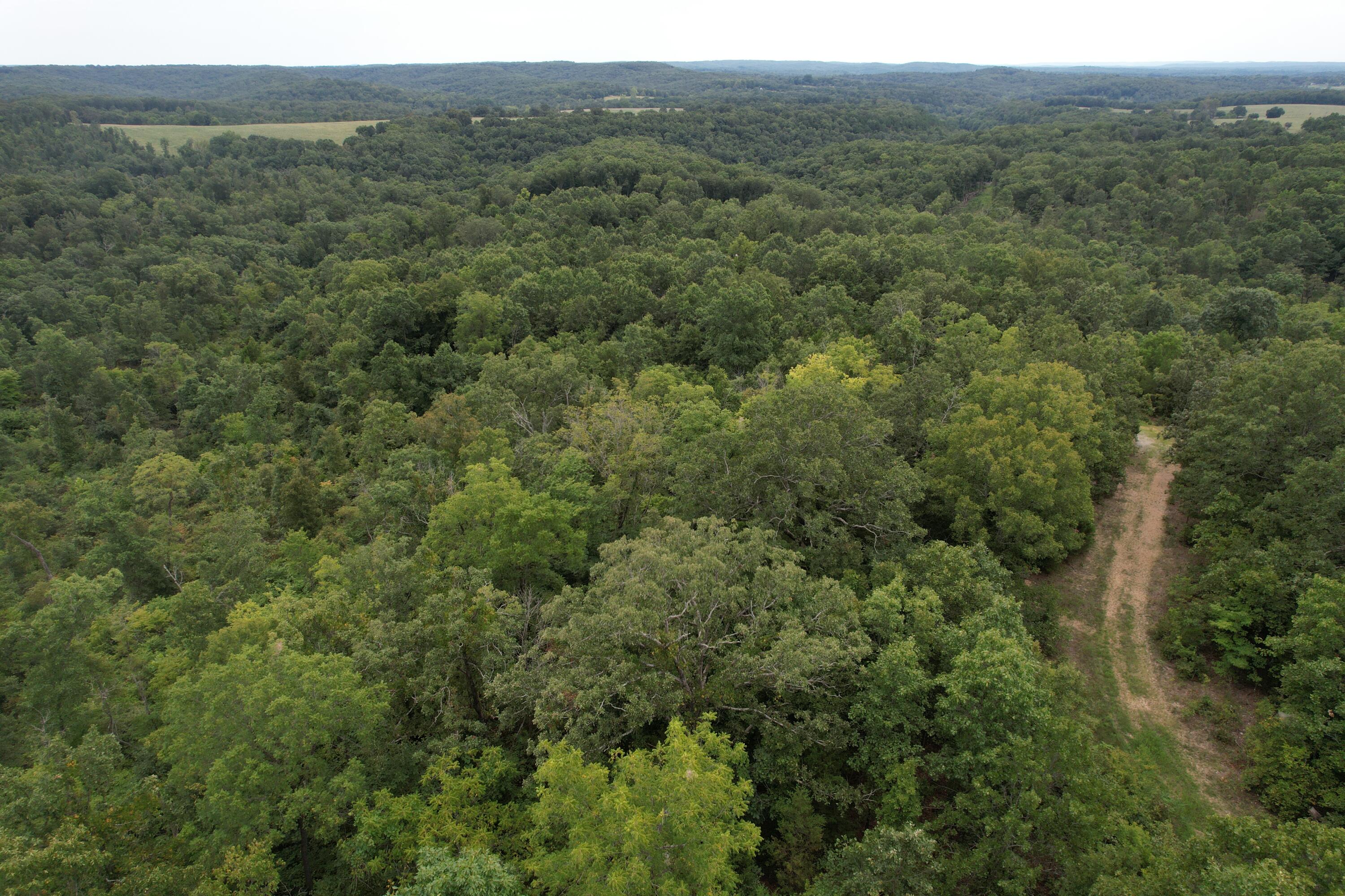 Photo 8 - Land for sale – 000  County Road 76-126   Ava, MO