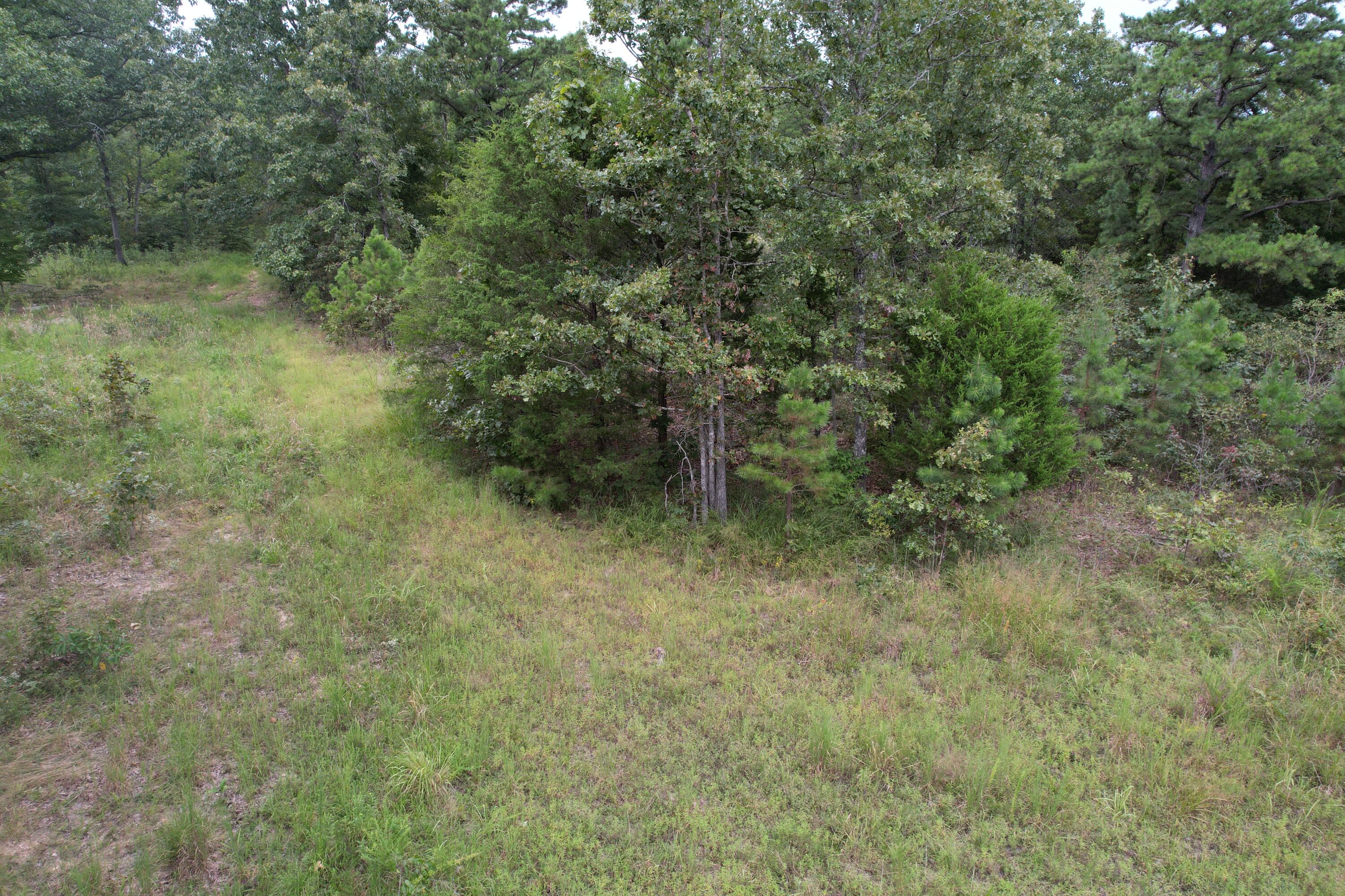 Photo 23 - Land for sale – 000  County Road 76-126   Ava, MO