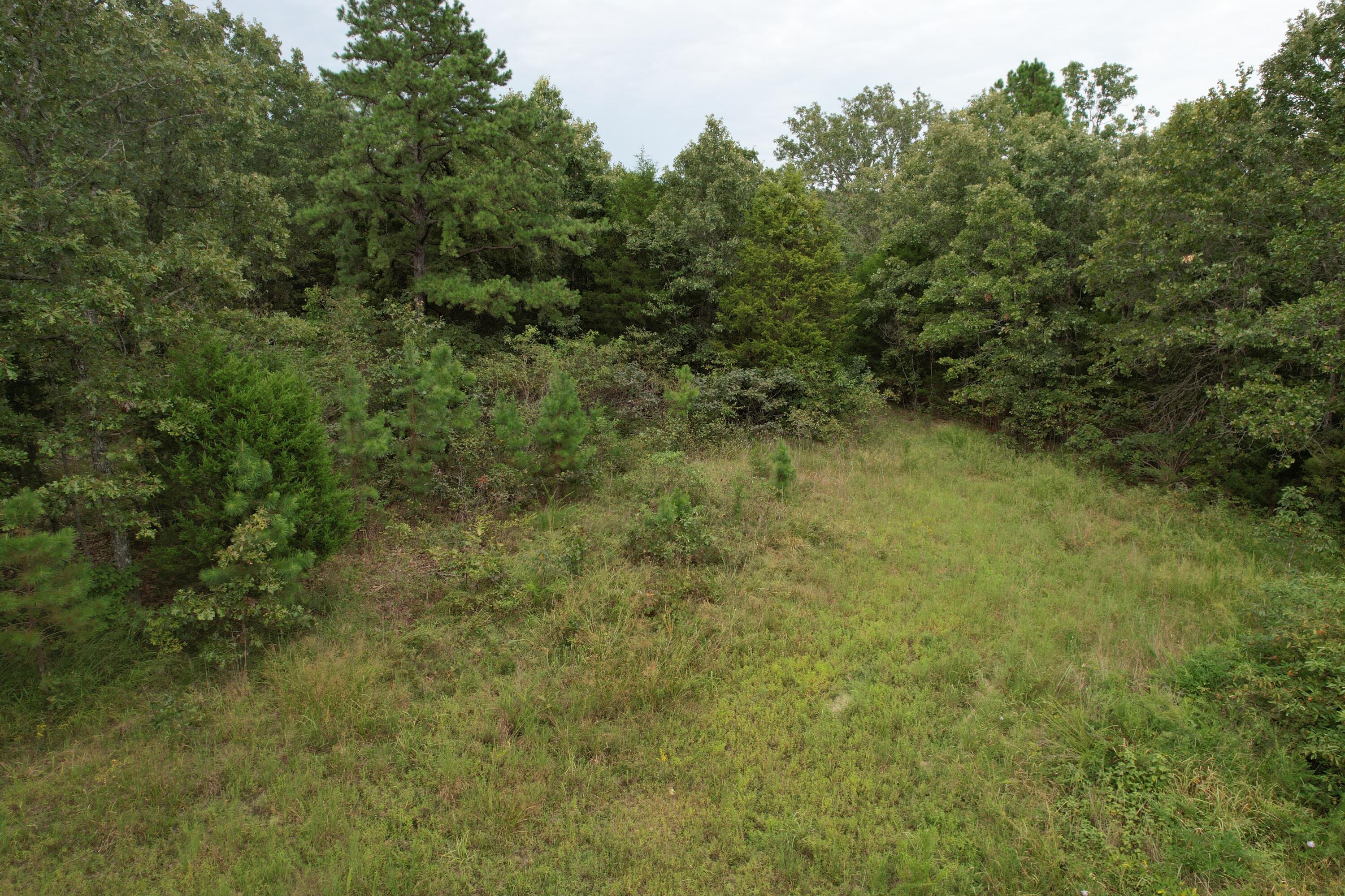 Photo 24 - Land for sale – 000  County Road 76-126   Ava, MO