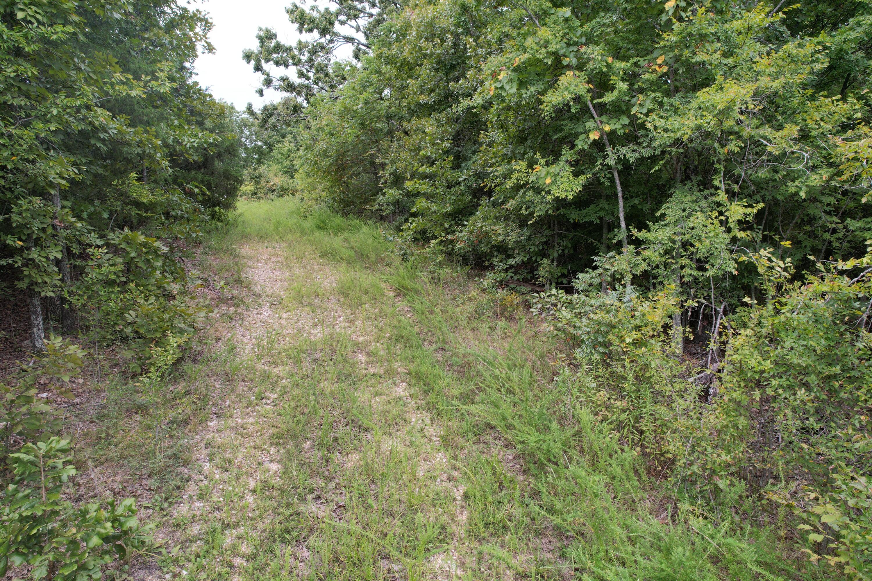 Photo 3 - Land for sale – 000  County Road 76-126   Ava, MO