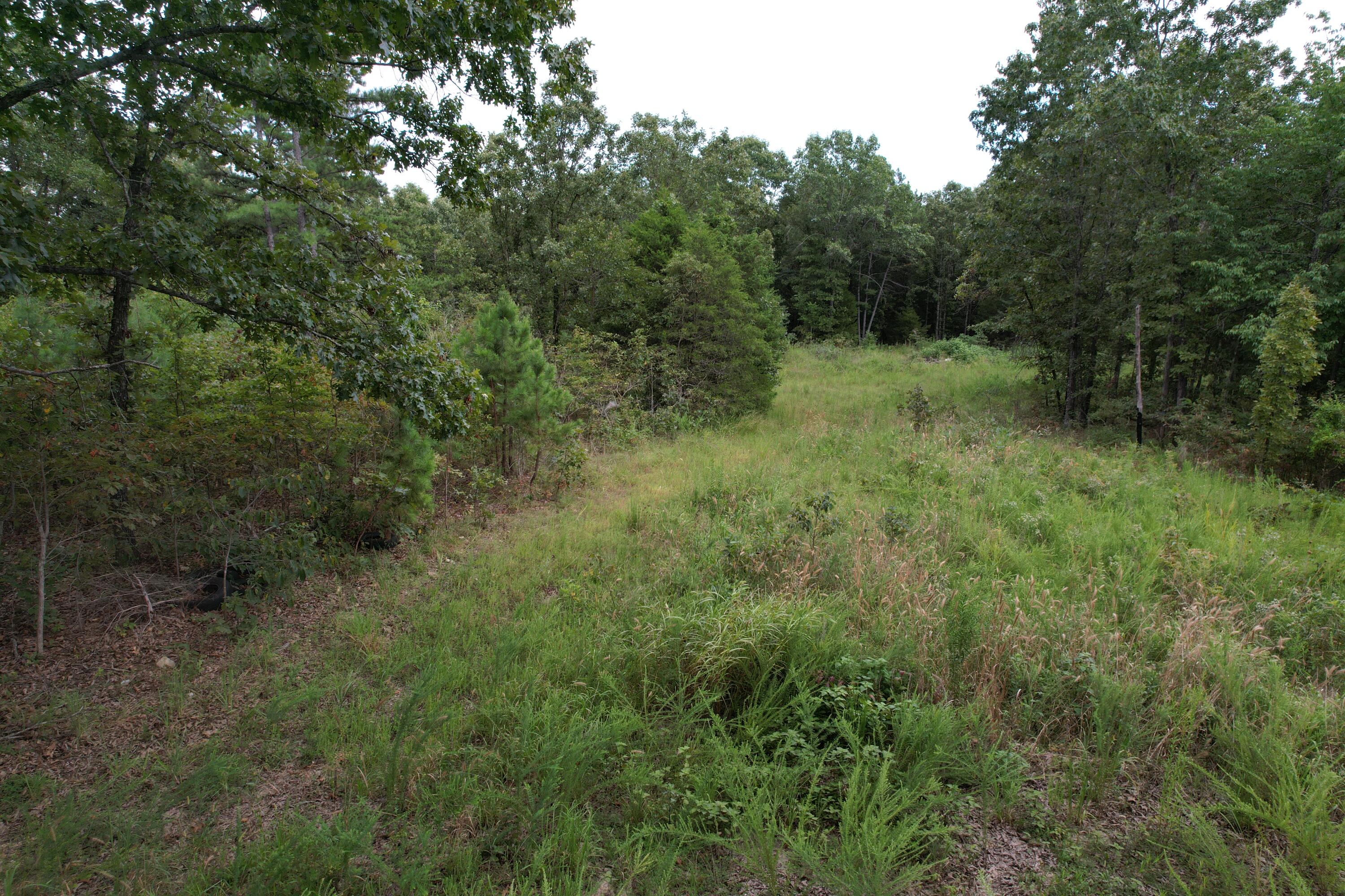 Photo 27 - Land for sale – 000  County Road 76-126   Ava, MO