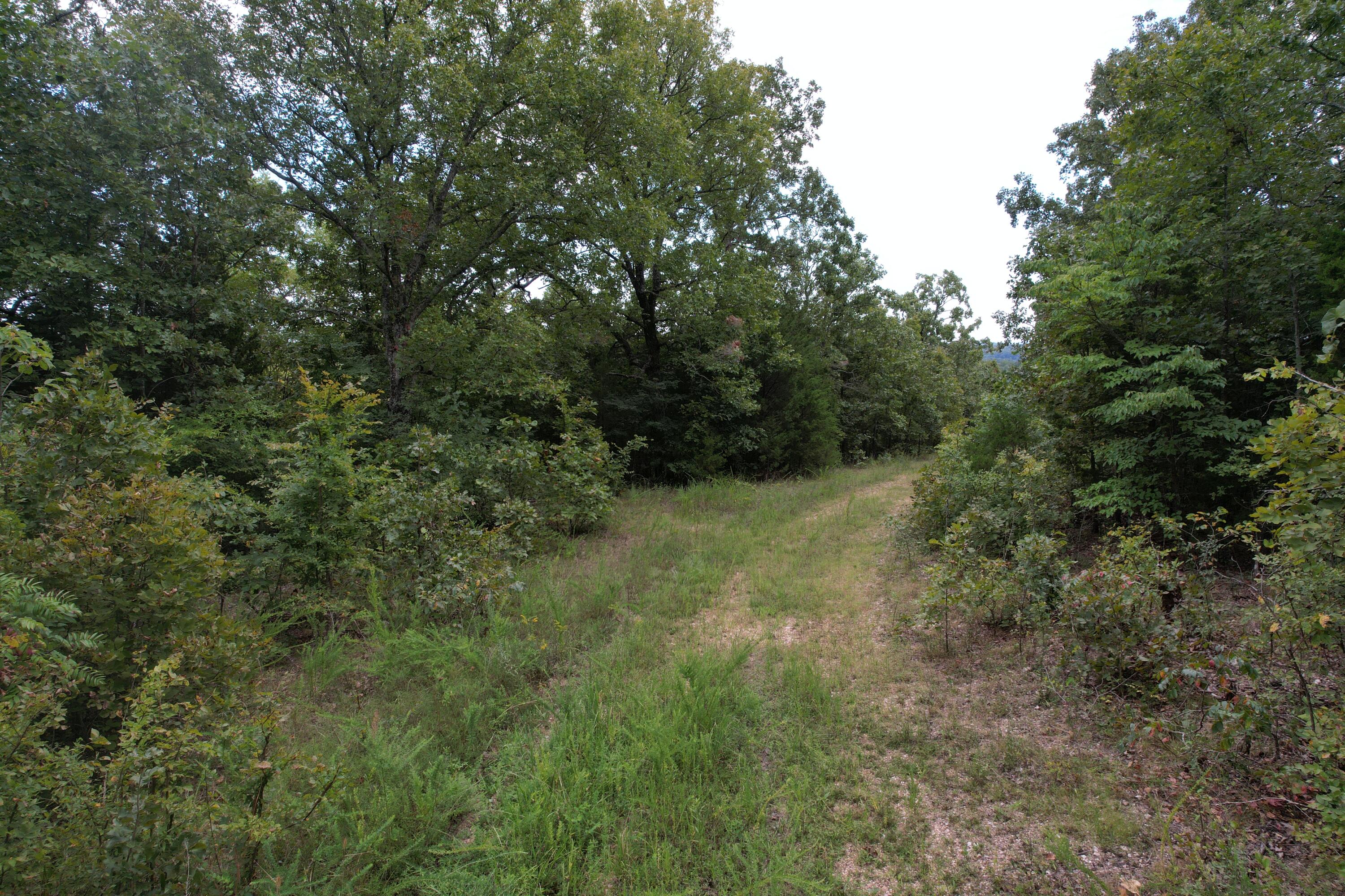 Photo 14 - Land for sale – 000  County Road 76-126   Ava, MO