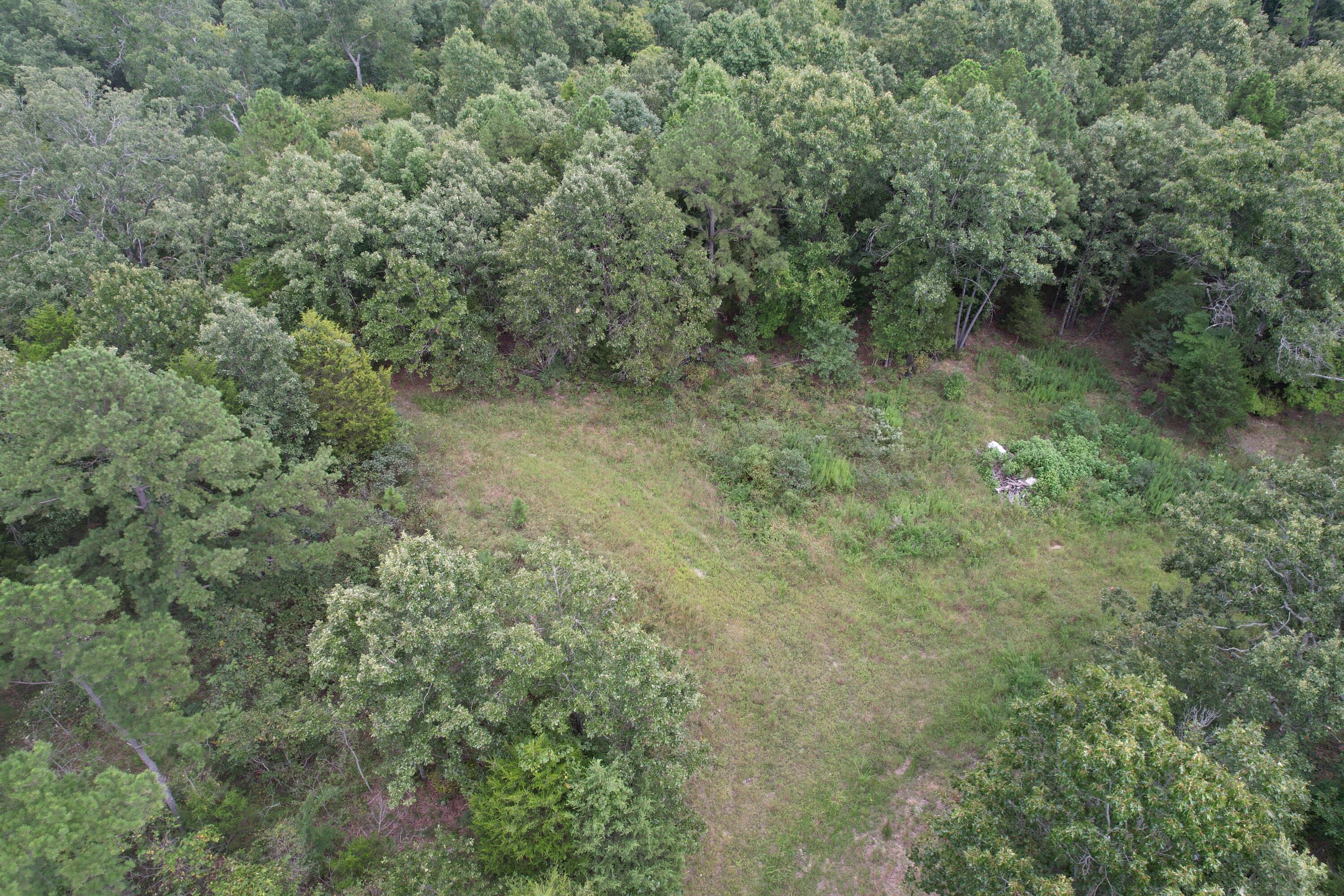 Photo 18 - Land for sale – 000  County Road 76-126   Ava, MO