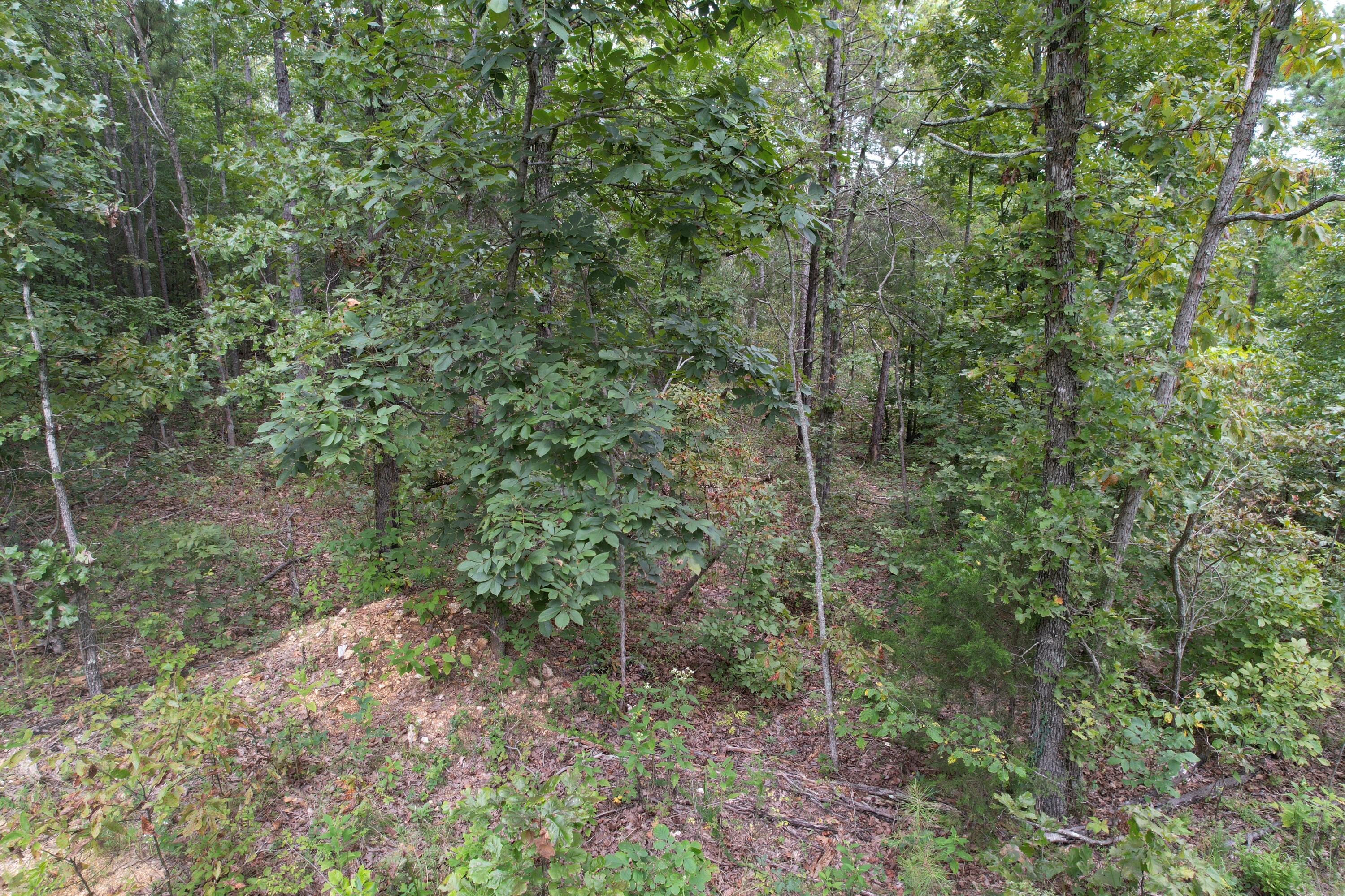 Photo 26 - Land for sale – 000  County Road 76-126   Ava, MO