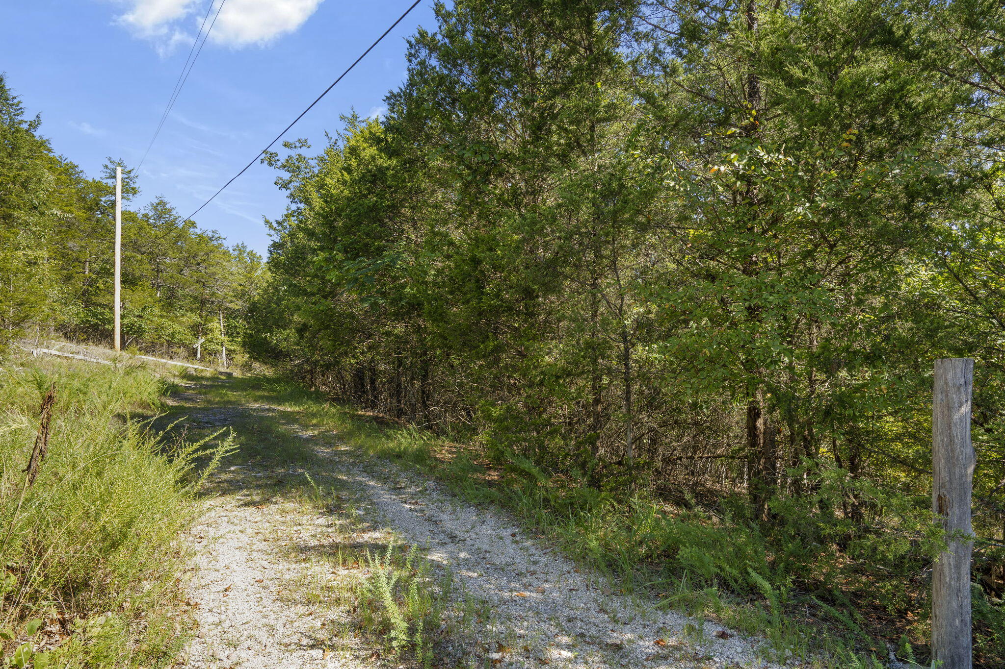 Photo 2 - Land for sale – Lots 10&11  Pomme De Terre Road  Branson, MO