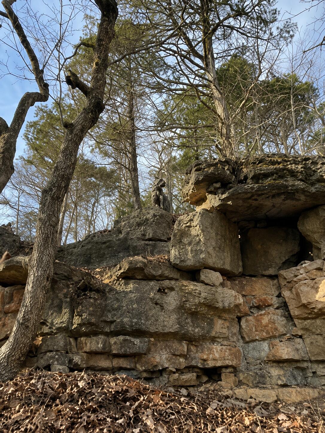 Photo 6 - Land for sale – Lots 12&13  Pomme De Terre Road  Branson, MO