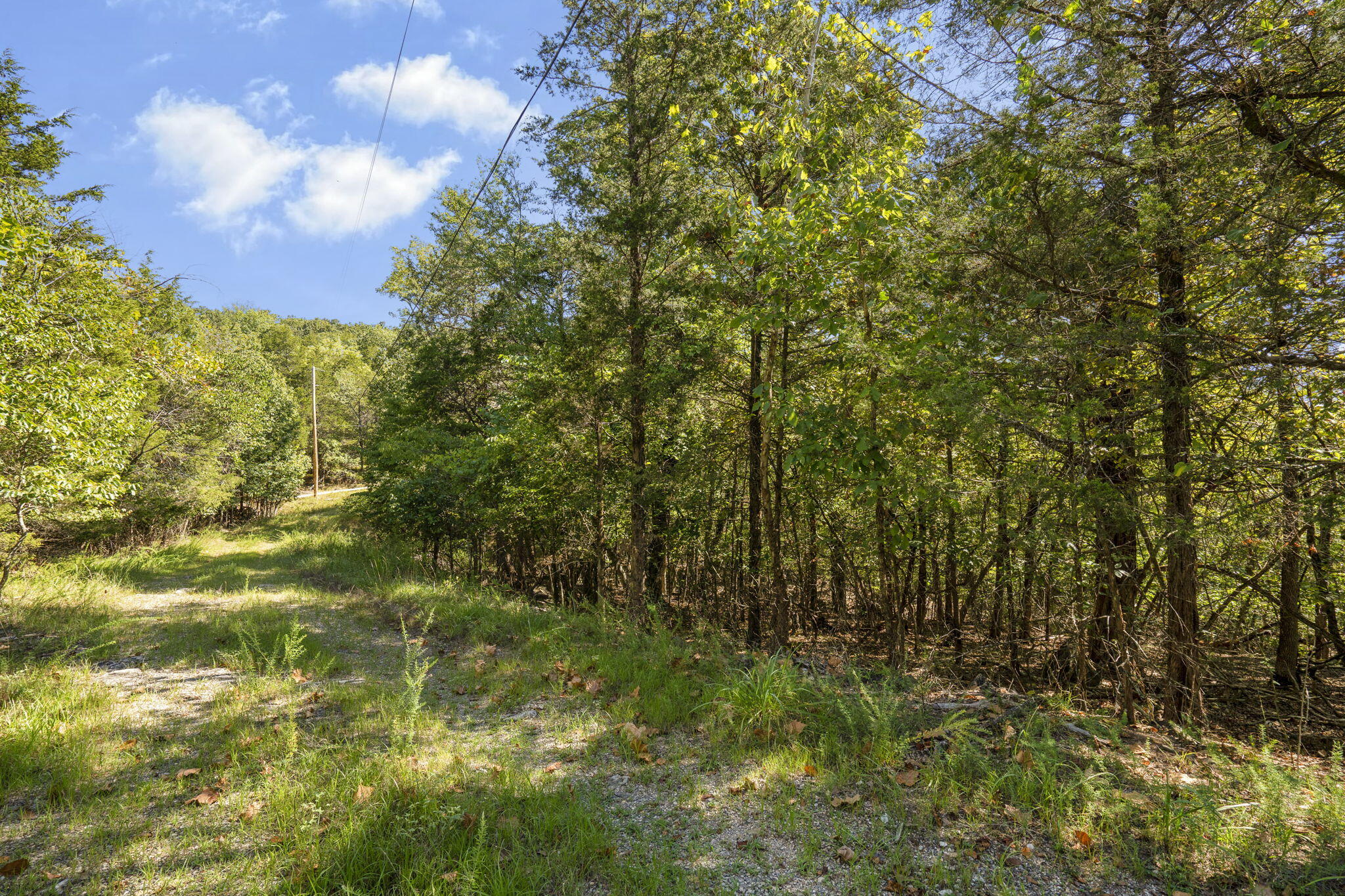 Photo 3 - Land for sale – Lots 12&13  Pomme De Terre Road  Branson, MO