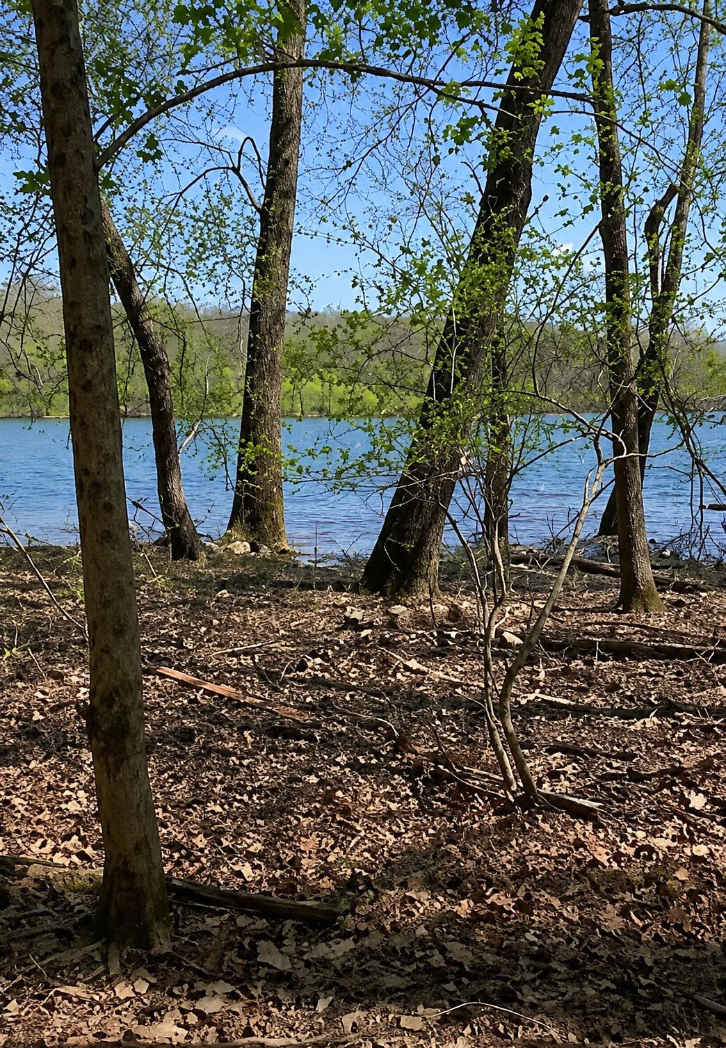 Photo 5 - Land for sale – Lots 12&13  Pomme De Terre Road  Branson, MO