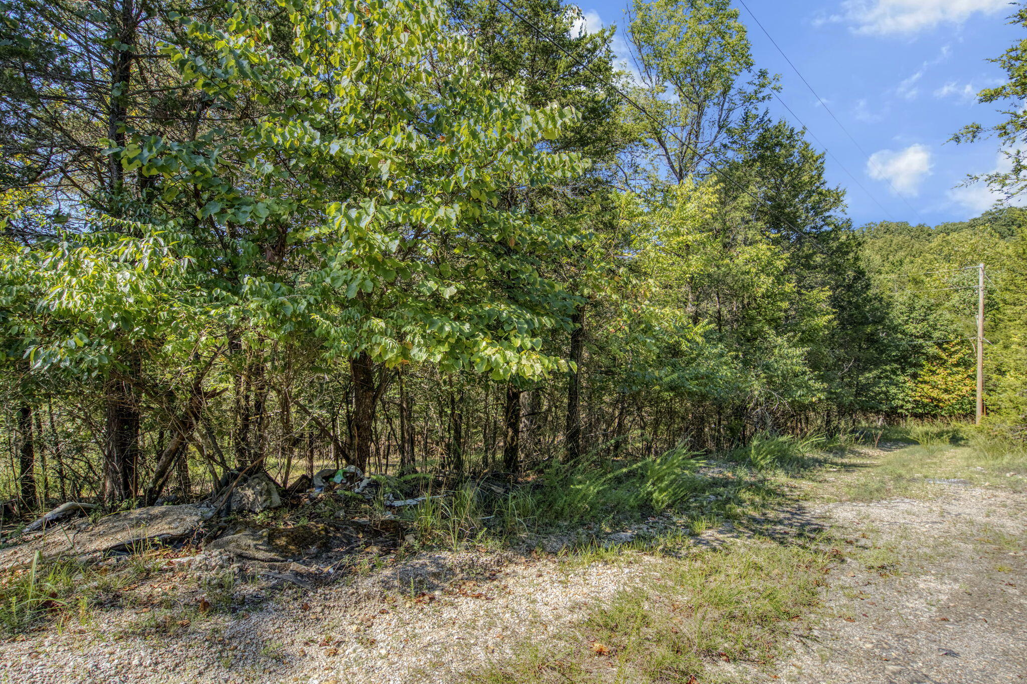 Photo 2 - Land for sale – Lots 15-18  Pomme De Terre Road  Branson, MO