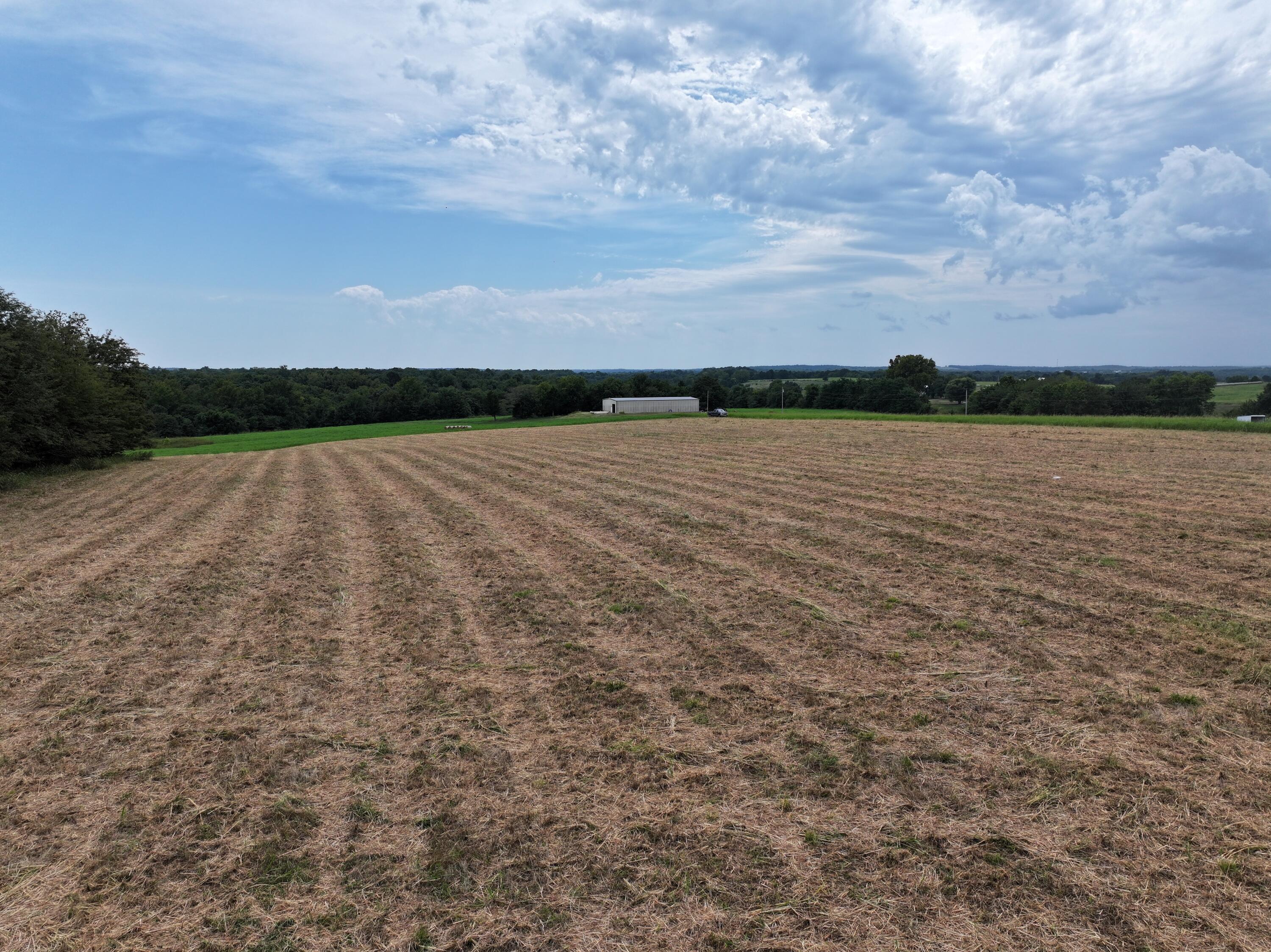 Photo 11 - Land for sale – 000 S 140th Road  Morrisville, MO