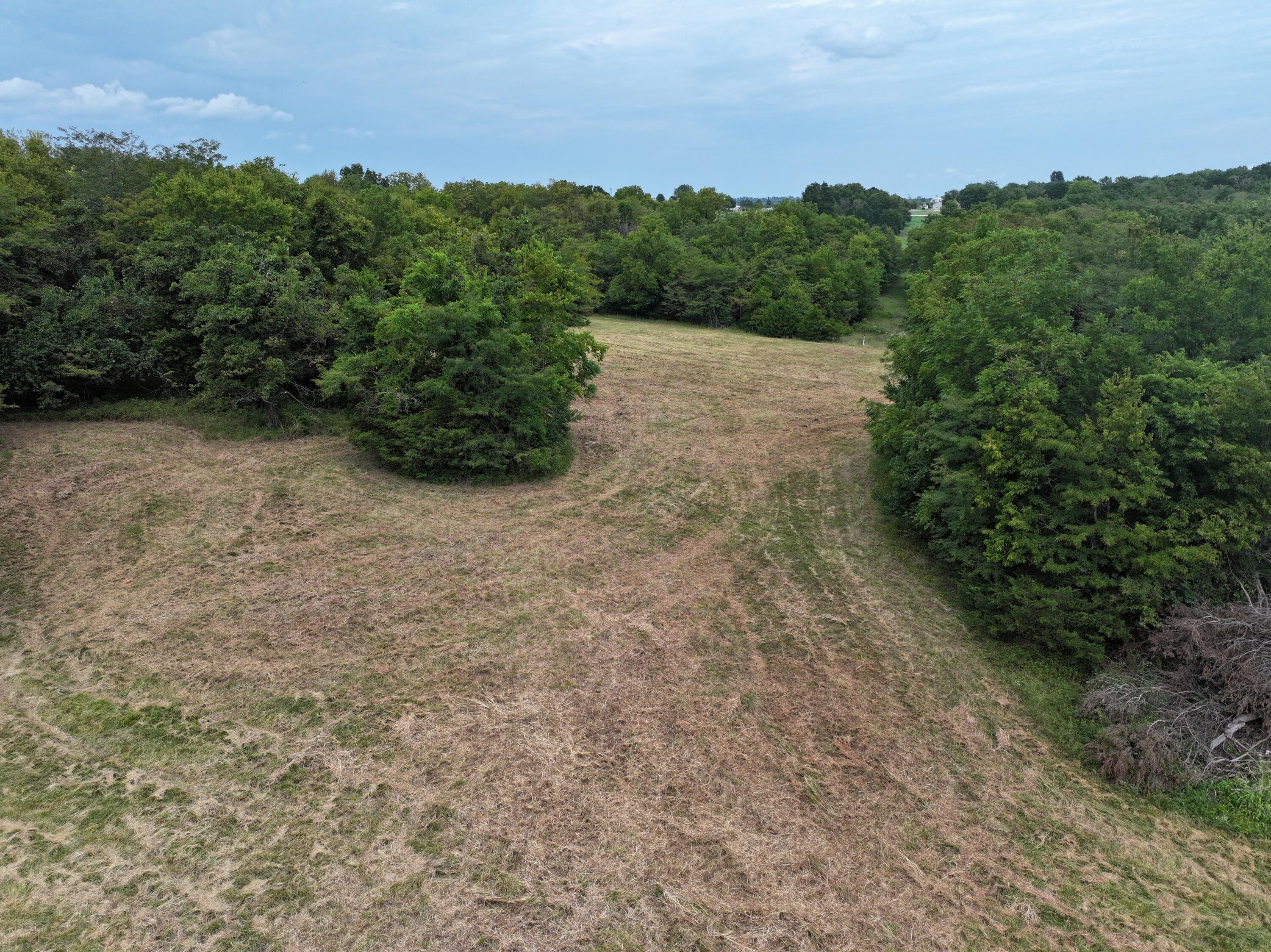 Photo 5 - Land for sale – 000 S 140th Road  Morrisville, MO