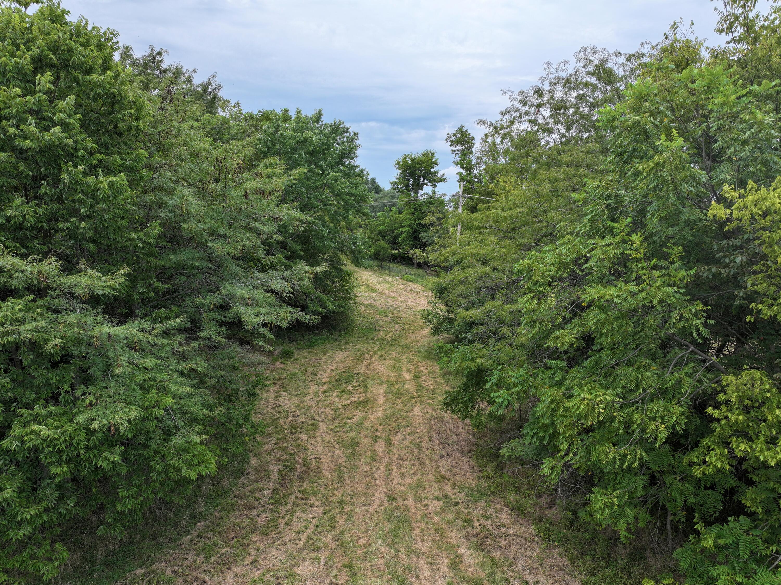 Photo 9 - Land for sale – 000 S 140th Road  Morrisville, MO