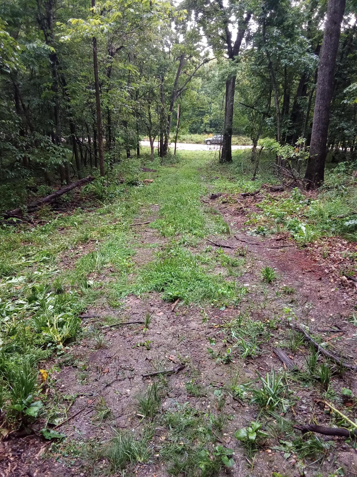 Photo 9 - Land for sale – 000  Fraker Road   Buffalo, MO
