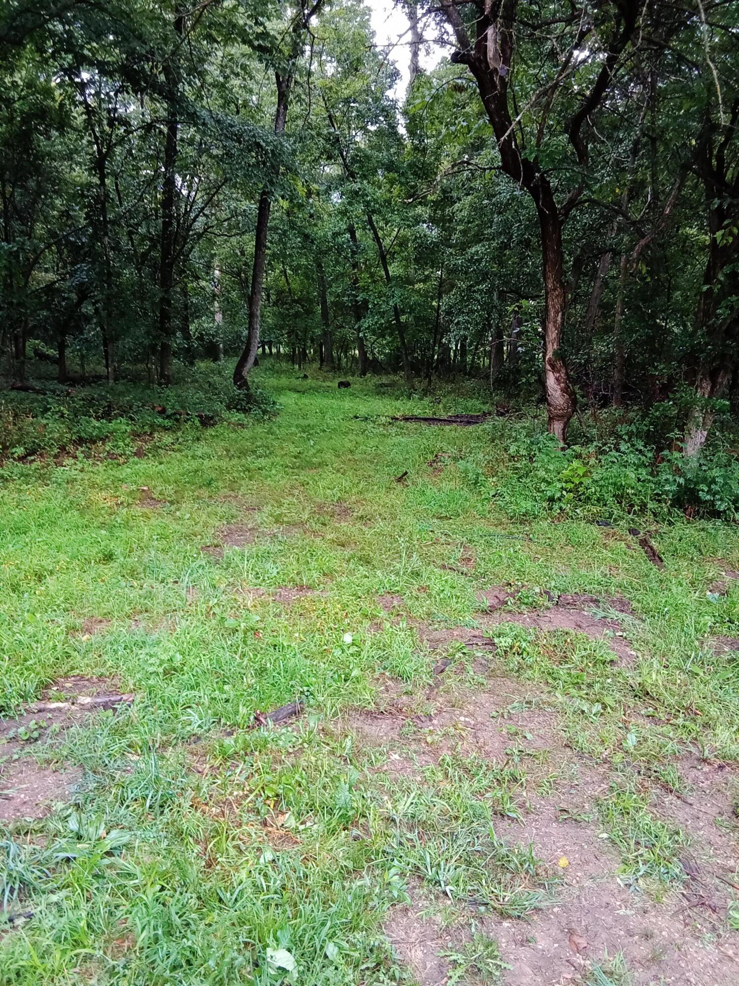 Photo 4 - Land for sale – 000  Fraker Road   Buffalo, MO