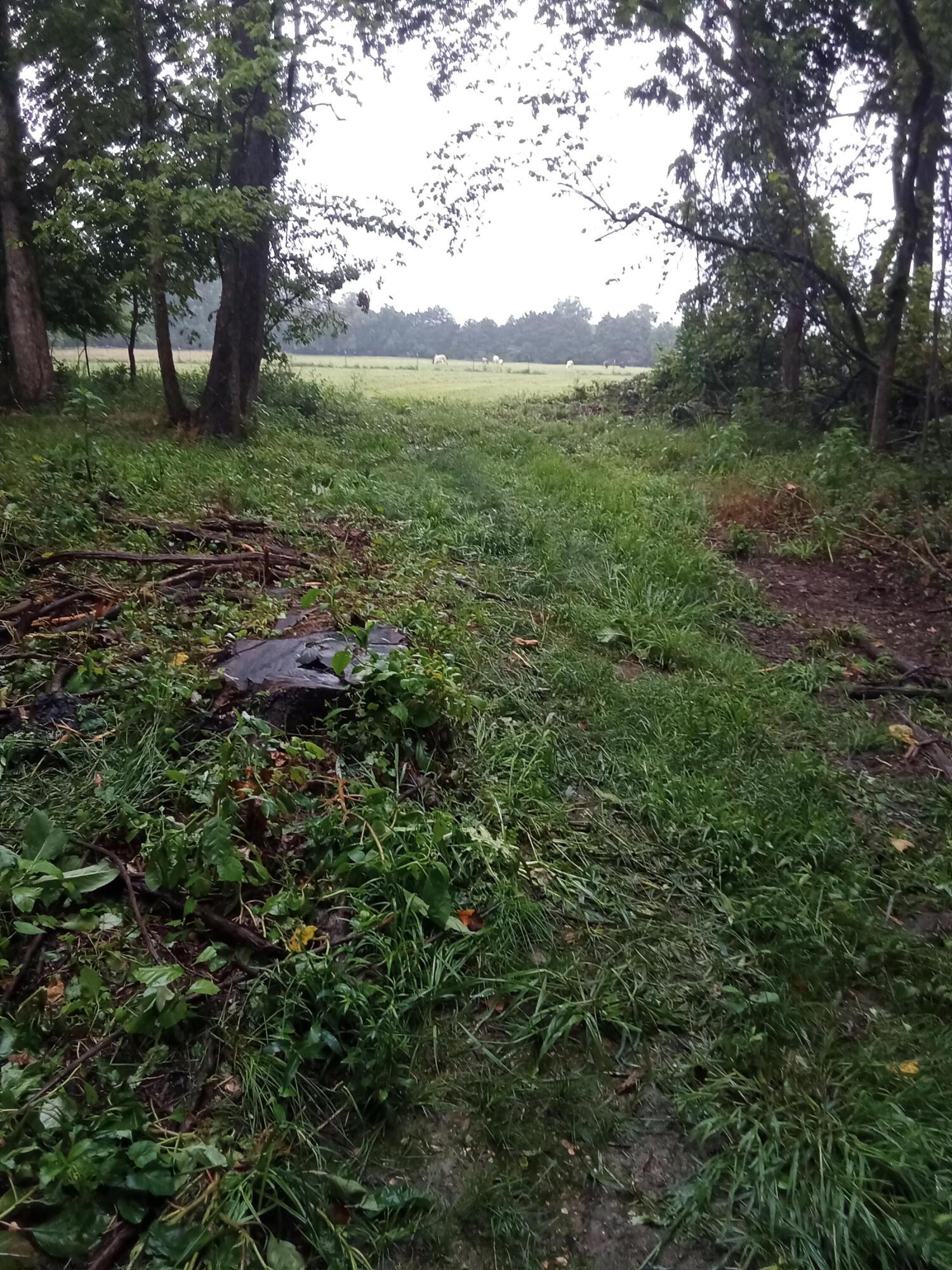Photo 6 - Land for sale – 000  Fraker Road   Buffalo, MO