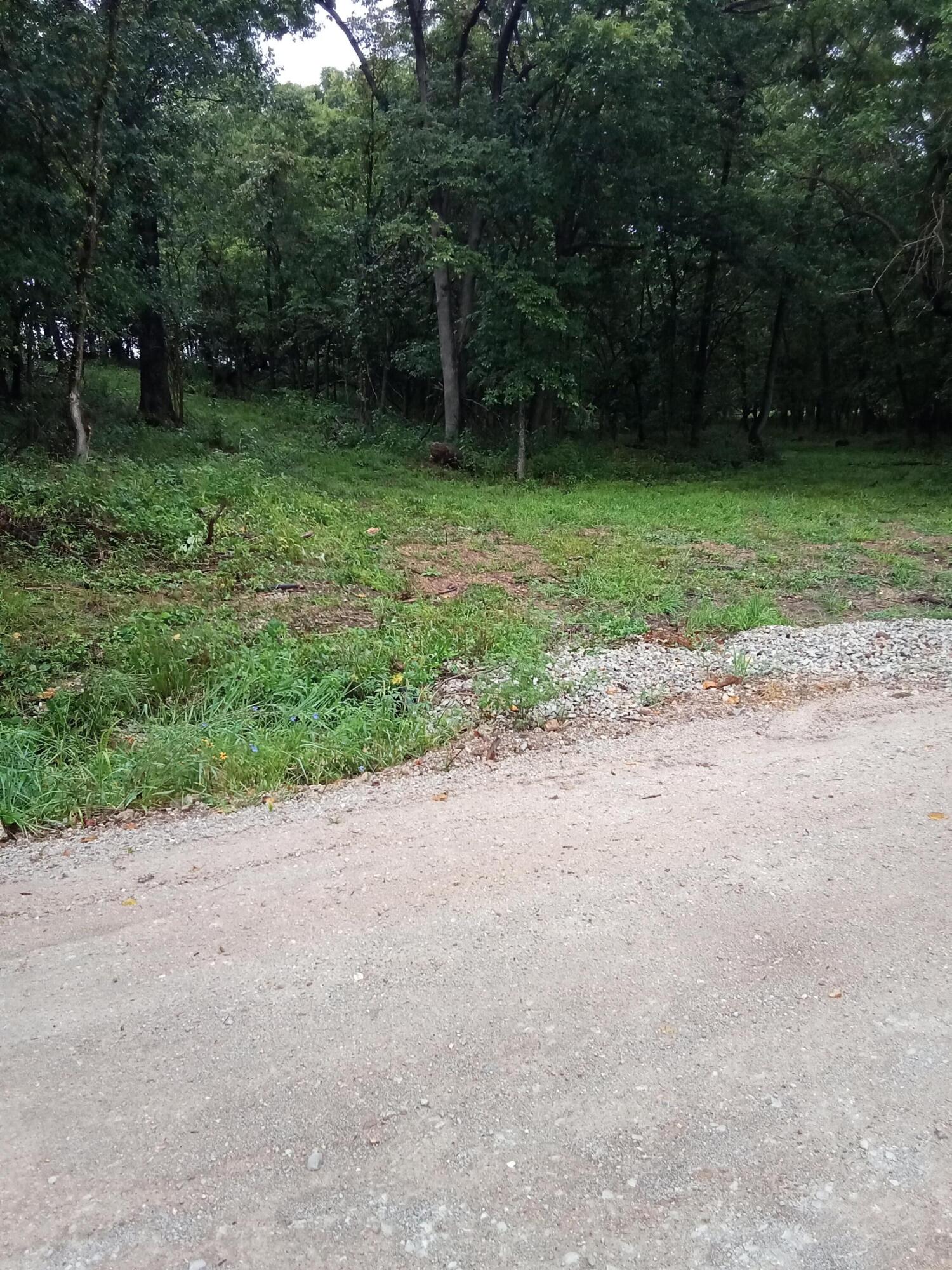 Photo 2 - Land for sale – 000  Fraker Road   Buffalo, MO