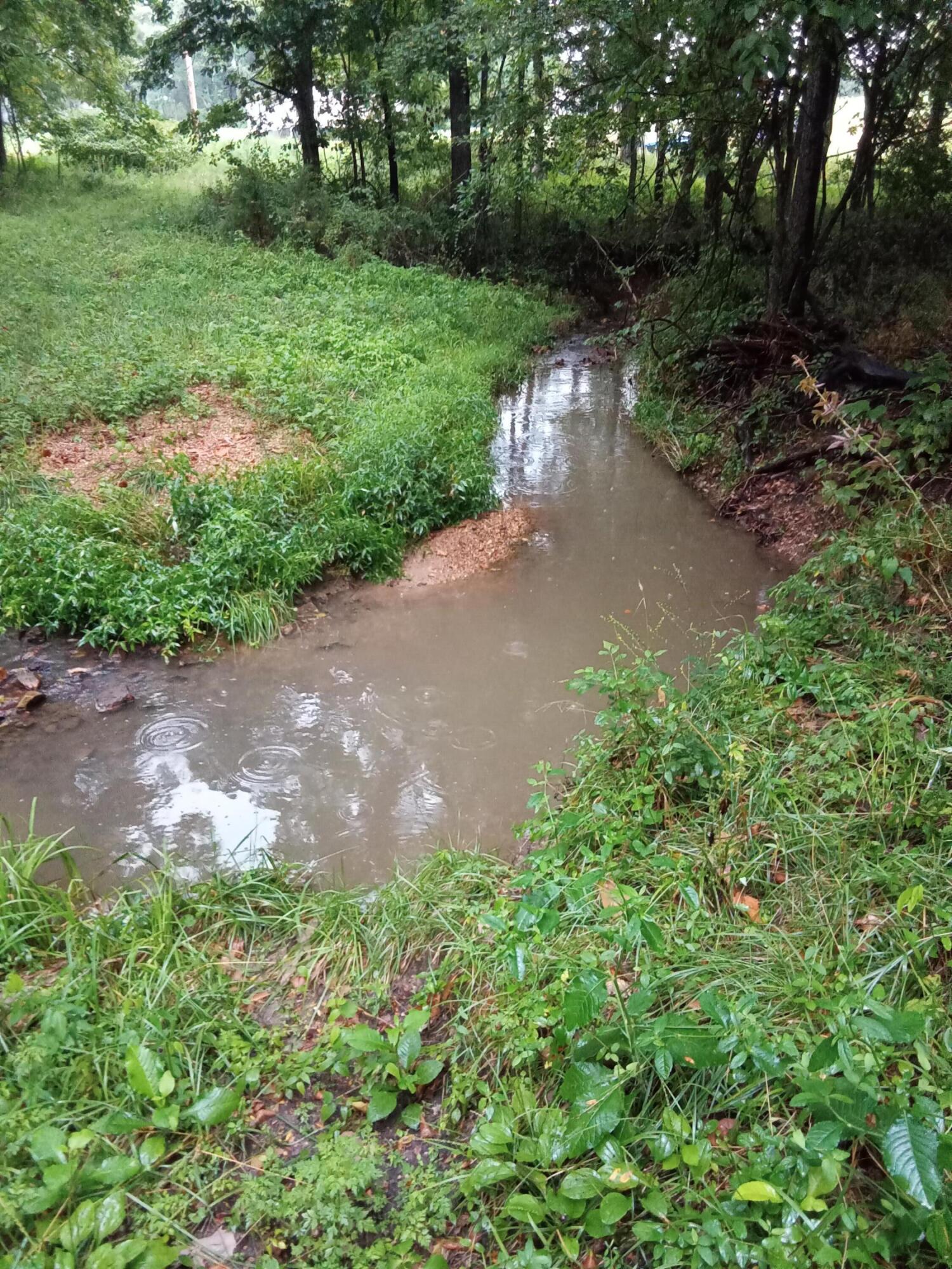 Photo 13 - Land for sale – 000  Fraker Road   Buffalo, MO