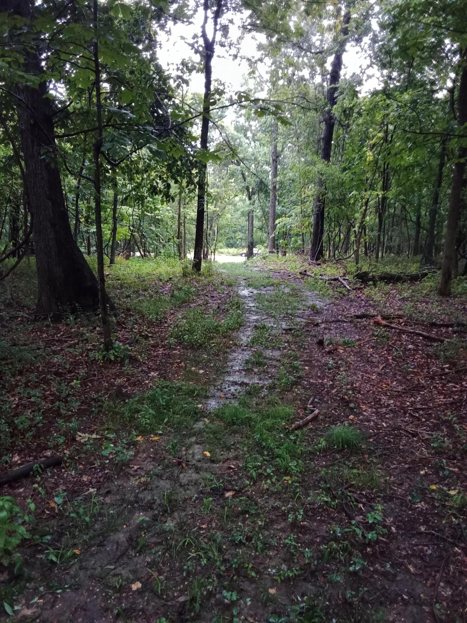 Photo 10 - Land for sale – 000  Fraker Road   Buffalo, MO