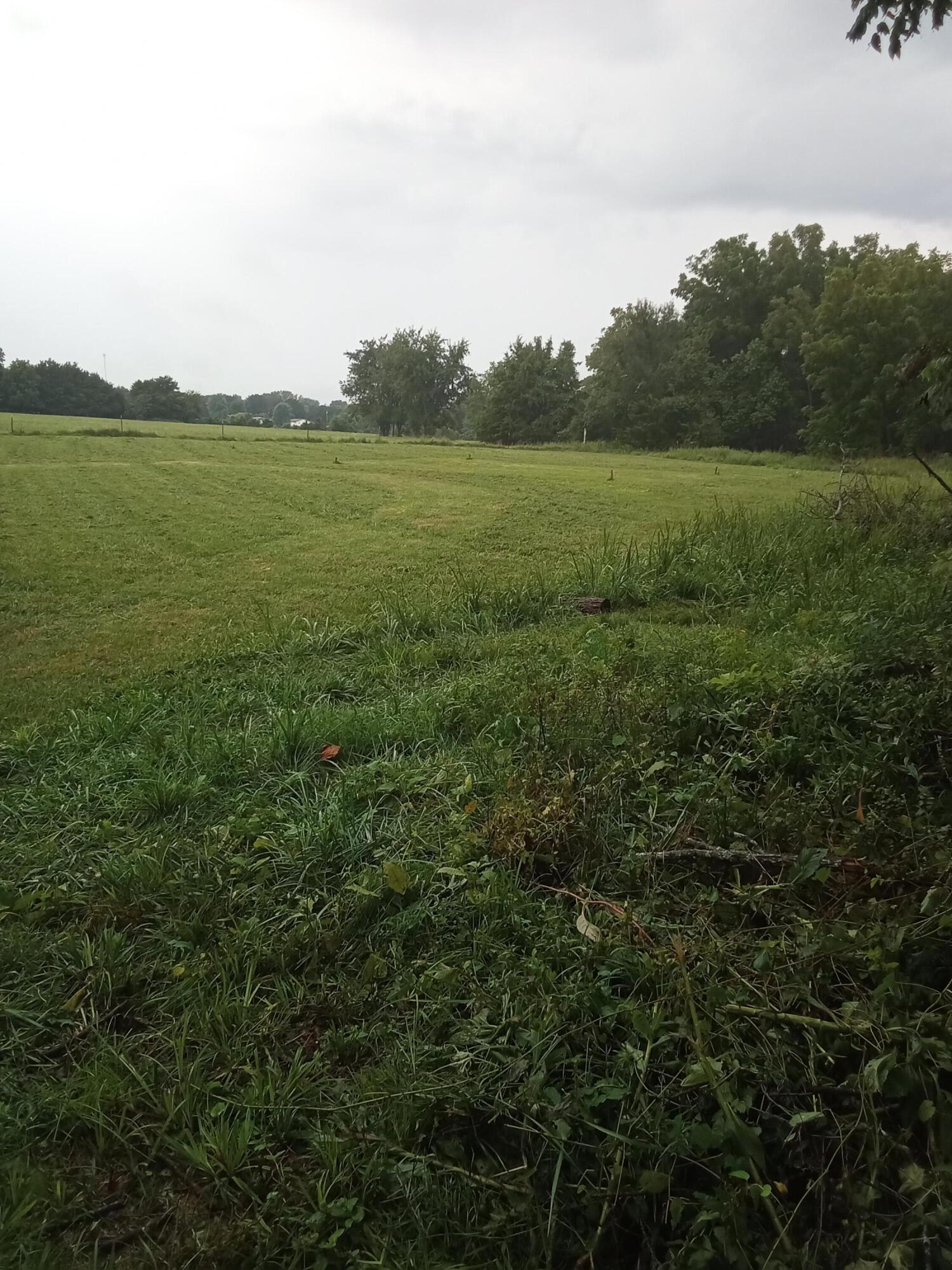 Photo 7 - Land for sale – 000  Fraker Road   Buffalo, MO